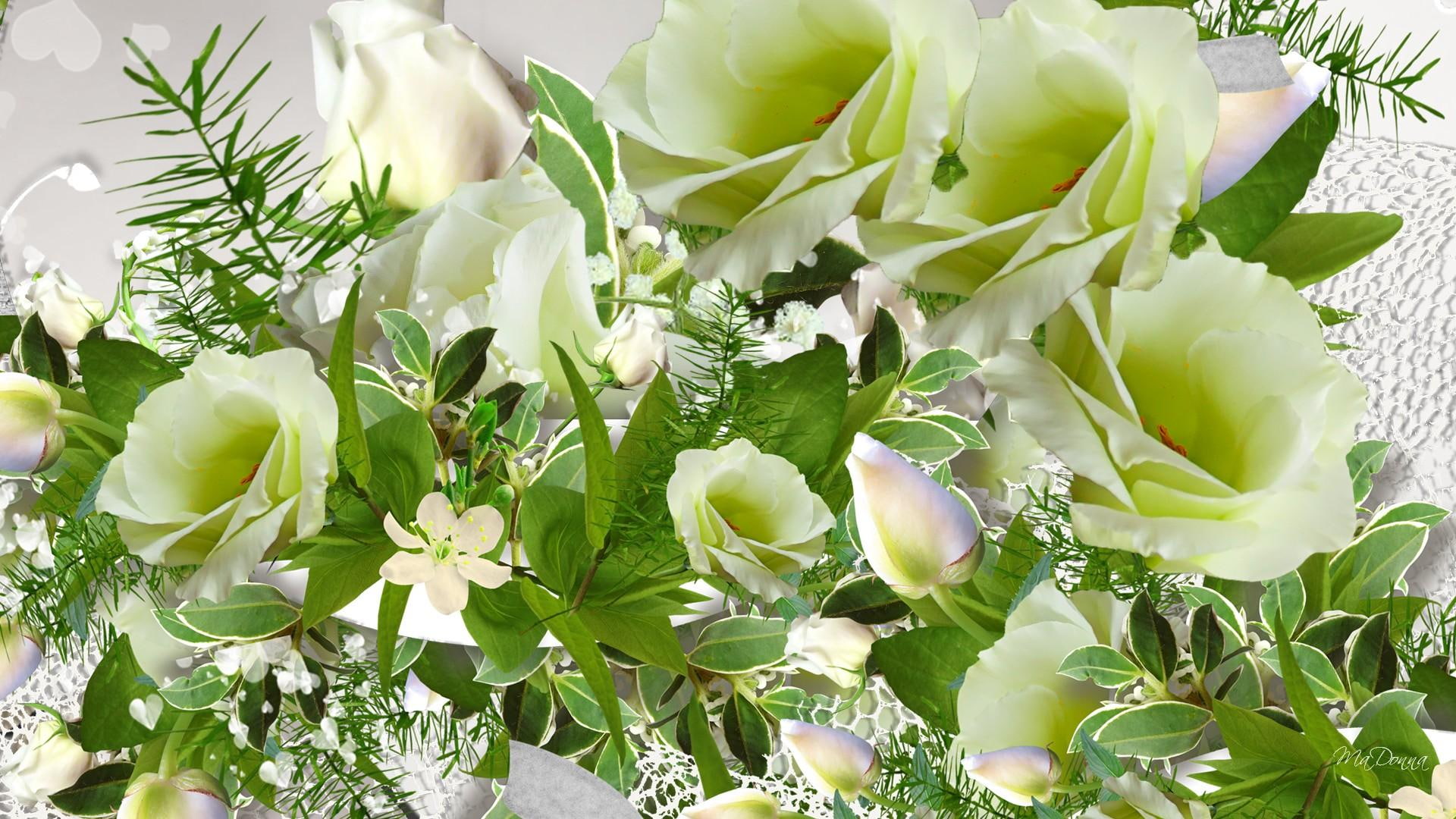 poppy, white, foliage, green, lace, bouquet, flower, collage, 1080P, summer, saint patricks day, spring, flowers, rose, HD Wallpaper