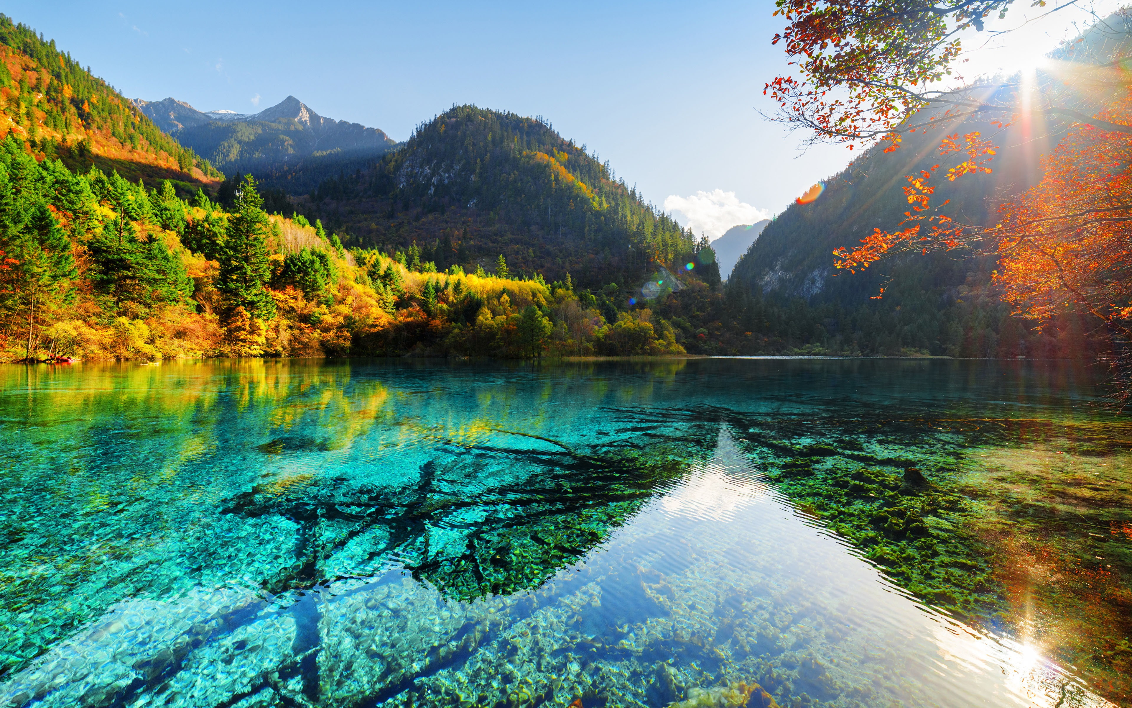lake, sky, non-urban scene, forest, sunlight, autumn, scenics - nature, reflection, water, change, china, plant, tranquil scene, day, tree, 4K, parks, HD Wallpaper