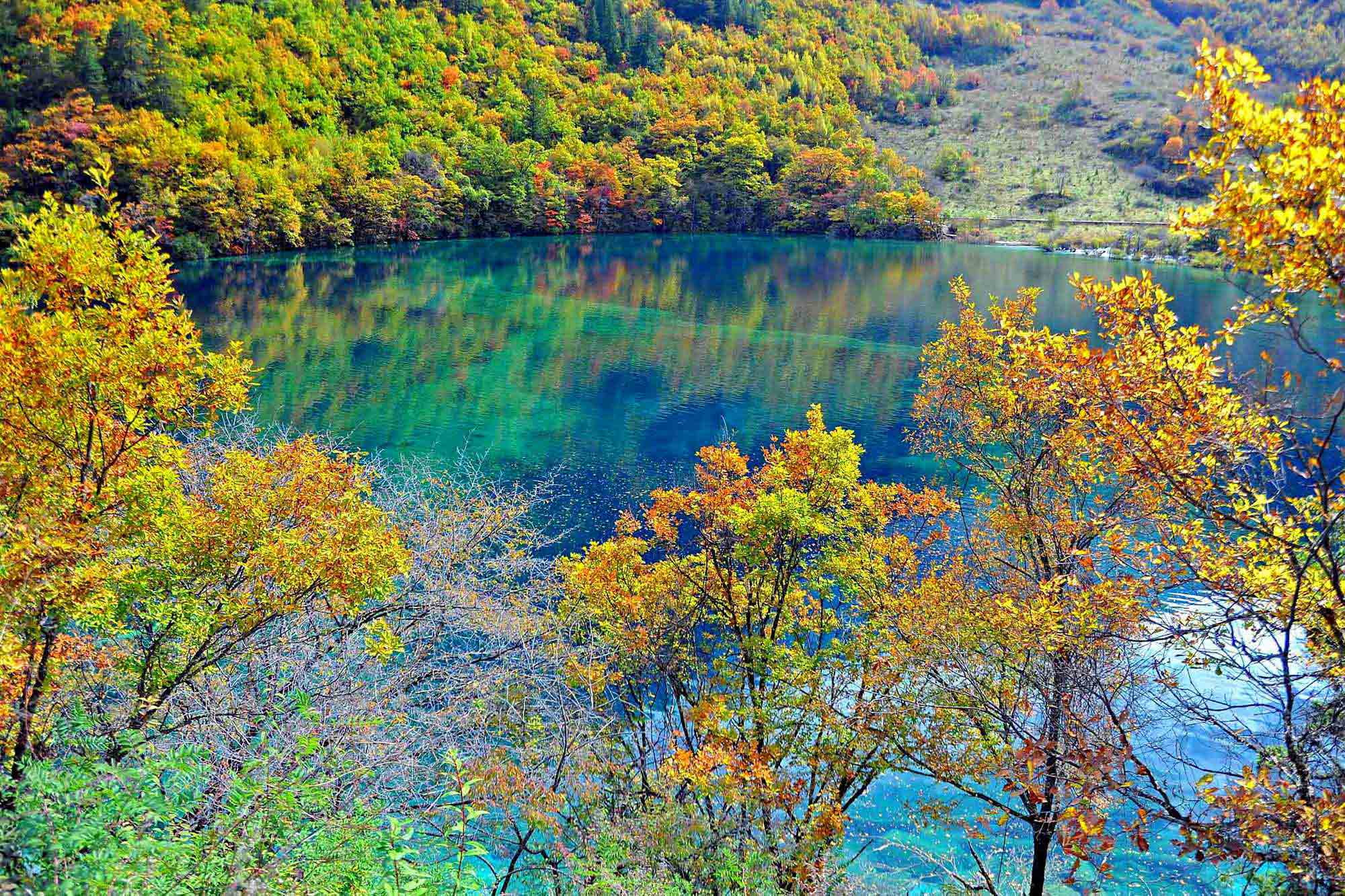 landscape, 1080P, day, season, scenics - nature, plant, scenics, tranquil Scene, pond, jiuzhaigou national park, colors, water, idyllic, river, leafed, HD Wallpaper
