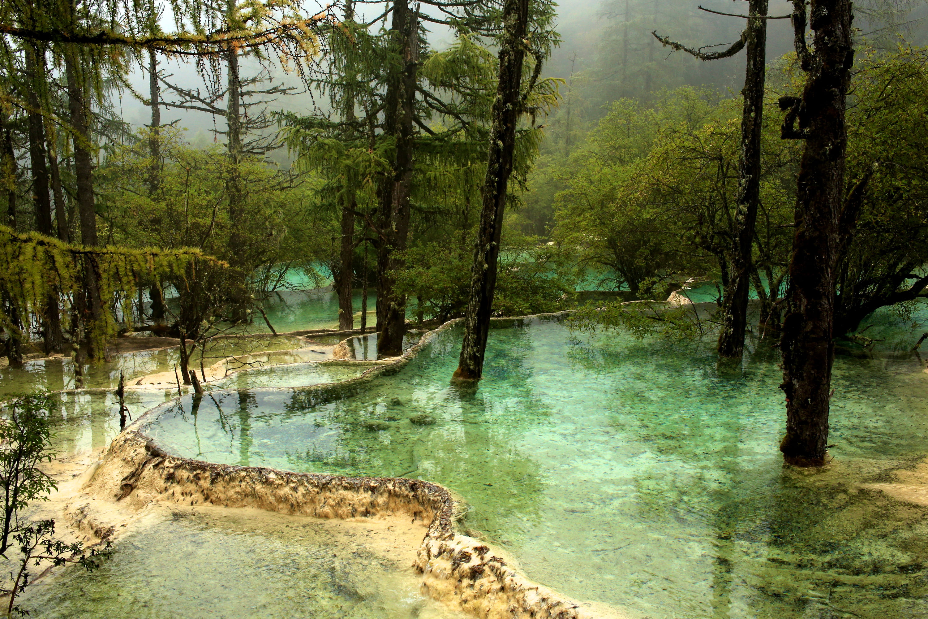 outdoors, scenics - nature, non-urban scene, nature, trees, plant, beauty in nature, flowing water, forest, China, idyllic, Jiuzhaigou National Park, day, HD Wallpaper