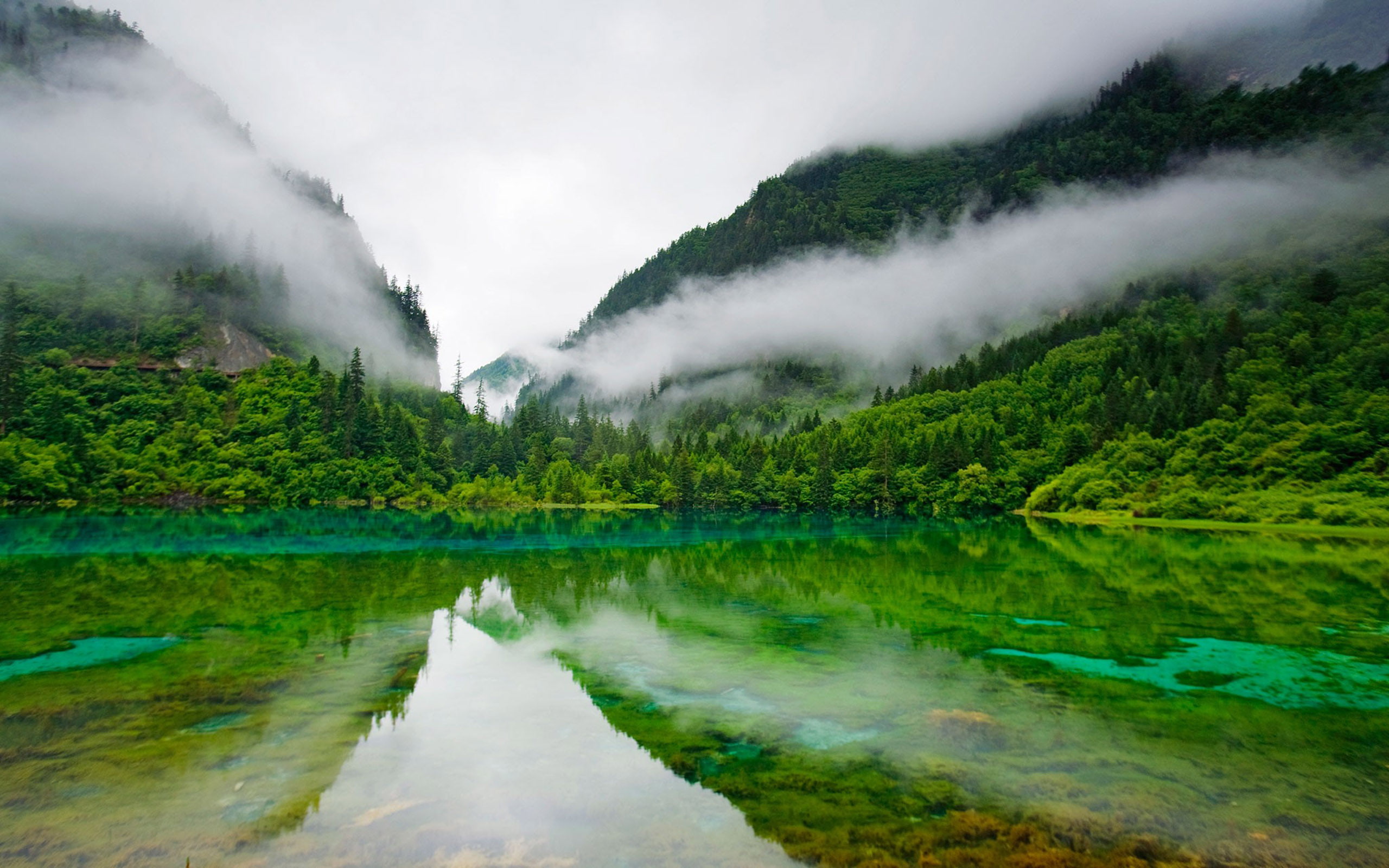forest, national, water, evaporation, 2K, hd, fog, green, desktop, clear, china, park, jiuzhaigou, lake, HD Wallpaper