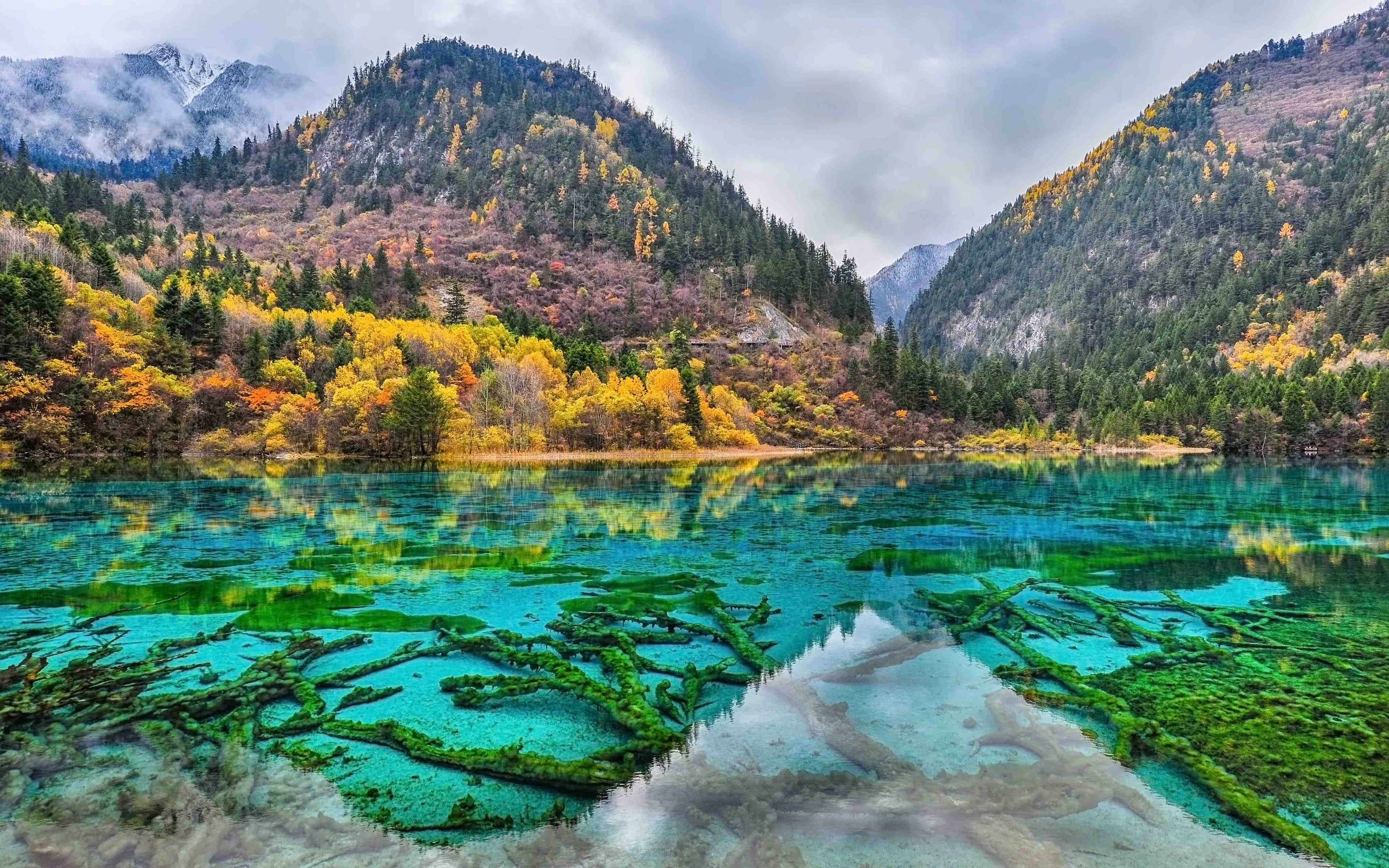 nature, plant, hd, water, non-urban scene, landscape, day, sky, flower, site, mountain range, cloud - sky, tranquil scene, idyllic, jiuzhaigou, HD Wallpaper