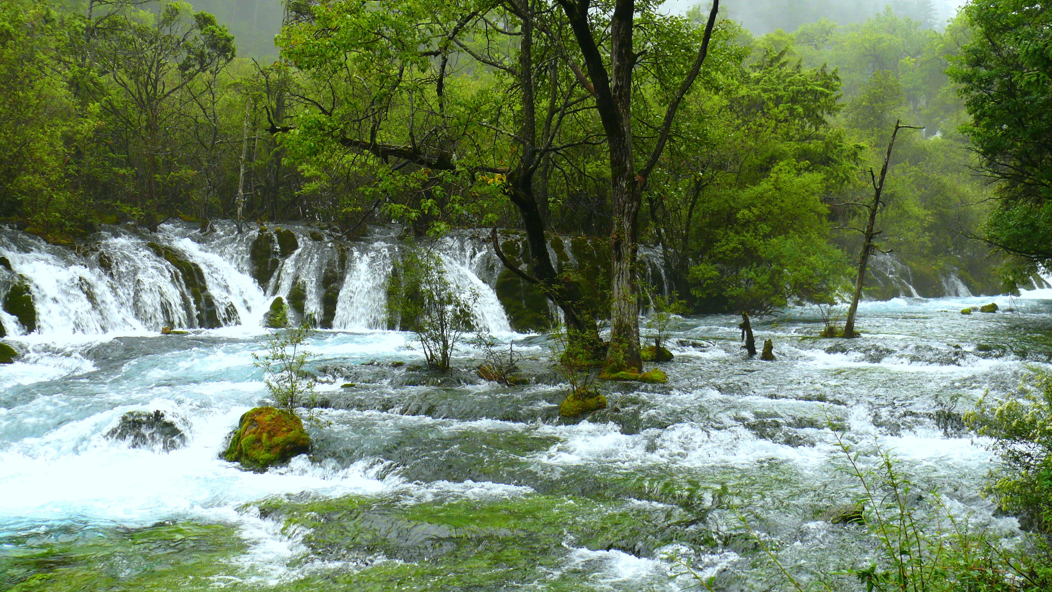 water, power in nature, the scenery, outdoors, scenics - nature, green color, falls, river, no people, nature, plant, 2K, beauty in nature, non-urban scene, HD Wallpaper