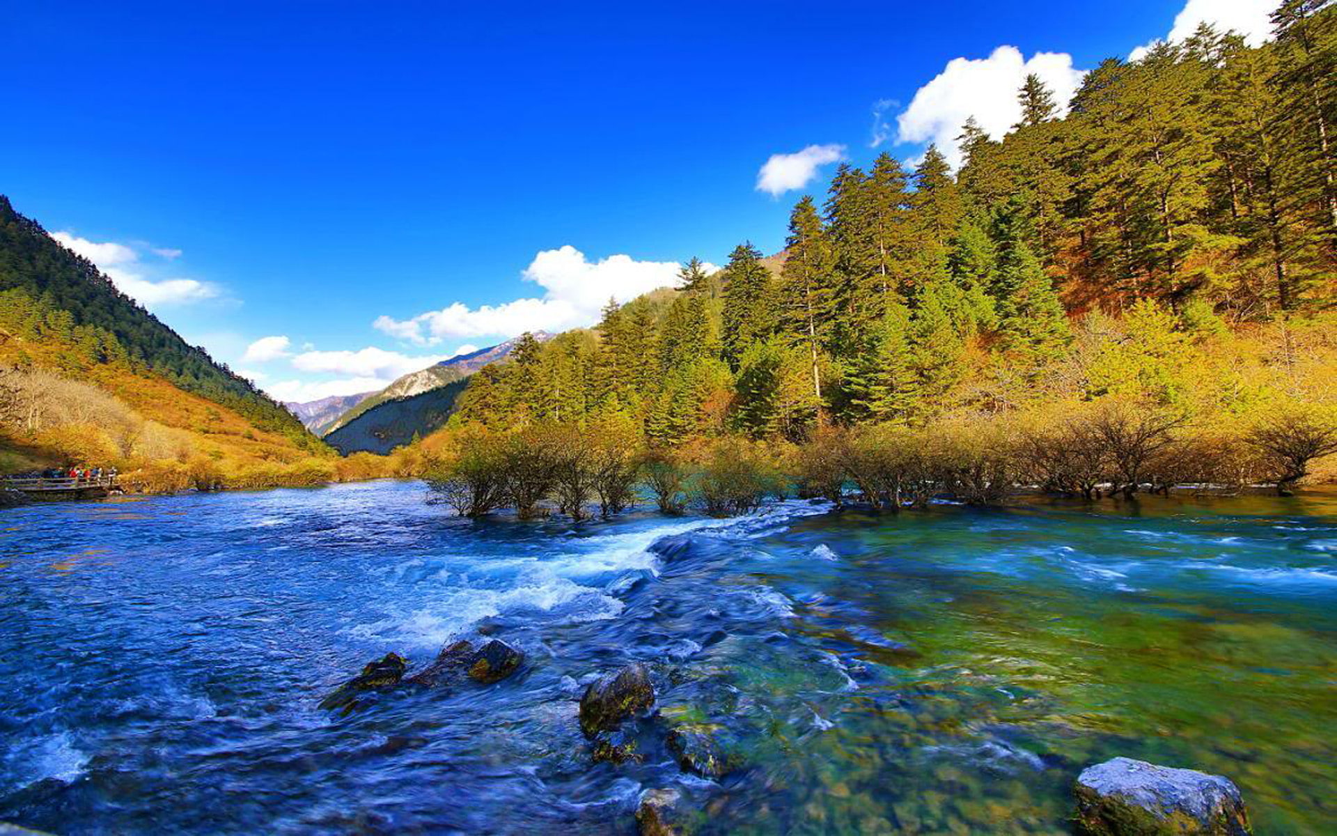 river, china, pine, stone, 1080P, forest, mountain, valley, park, blue, water, national, jiuzhaigou, clear, jiuzhai, HD Wallpaper