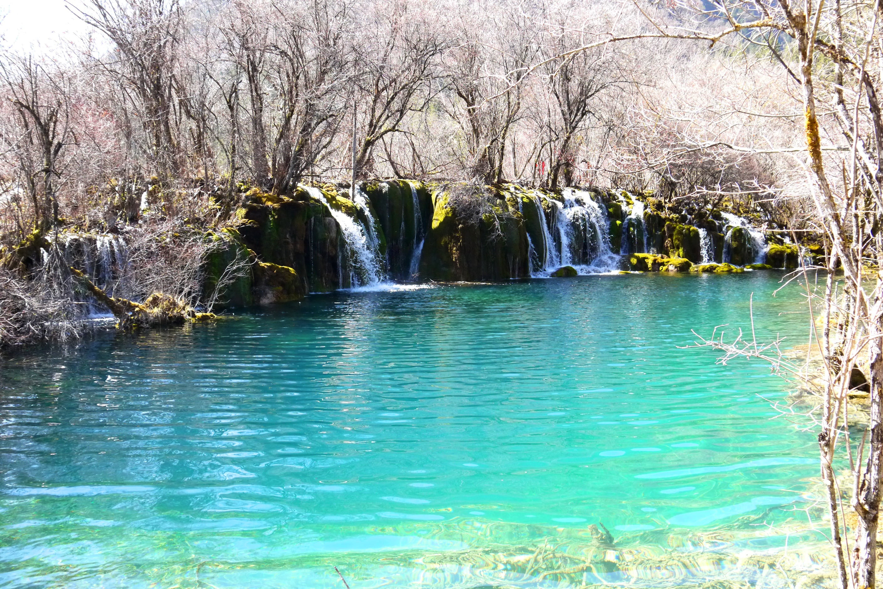 tranquil scene, tree, bare tree, flowing, outdoors, waterfall, tranquility, jiuzhaigou, nature, flowing water, 2K, water, land, beauty in nature, blue, HD Wallpaper