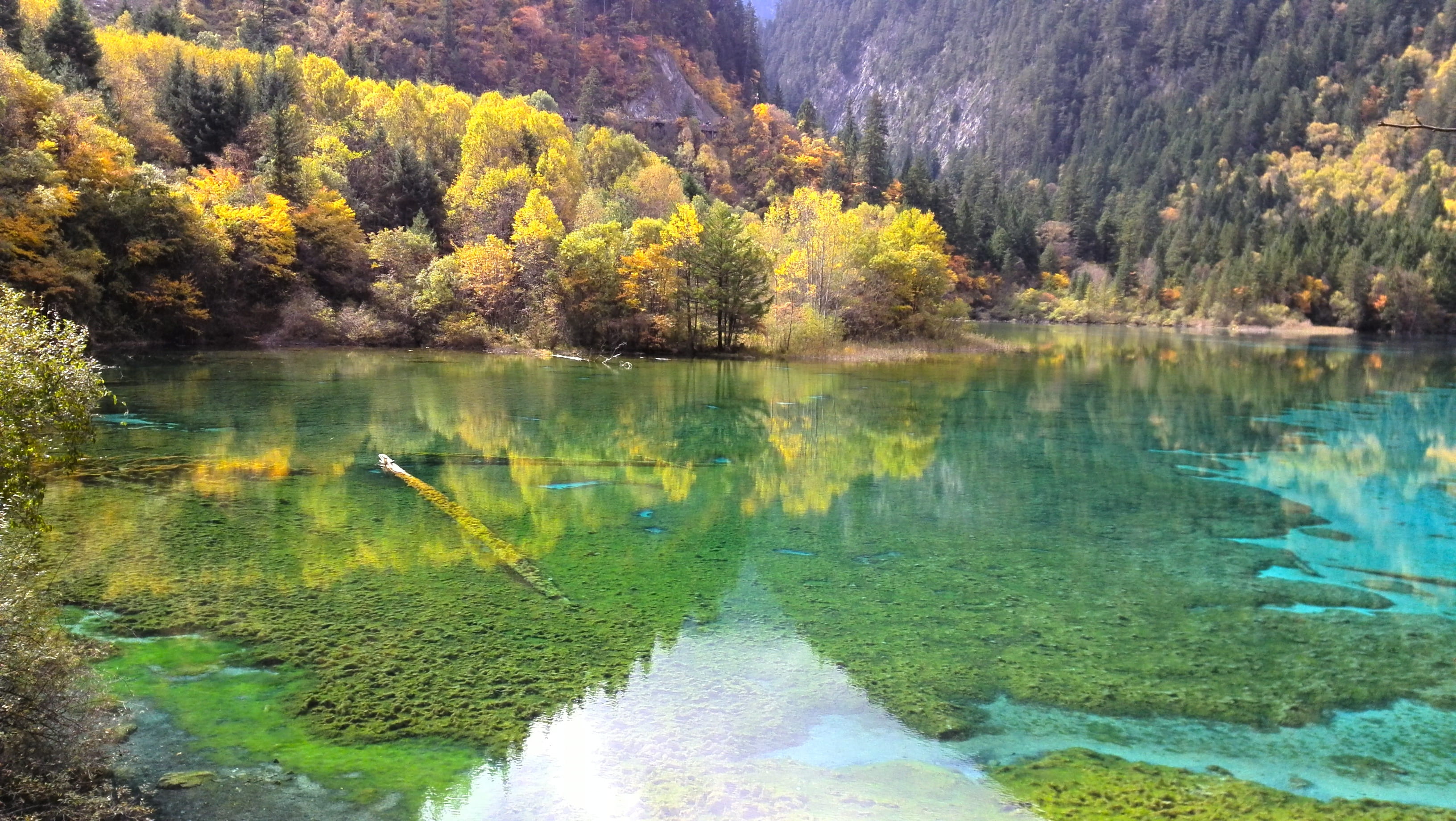 water, painting, crystal clear, day, 2K, non-urban scene, growth, scenics - nature, tree, change, beauty in nature, the scenery, nature, lake, tranquil scene, HD Wallpaper