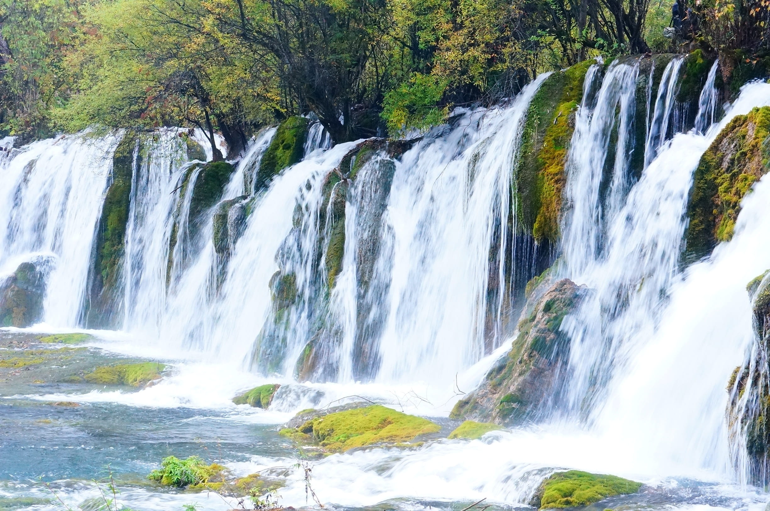 flowing water, tree, non-urban scene, beauty in nature, power in nature, autumn, national park, rainforest, running water, land, 1080P, water, plant, forest, HD Wallpaper