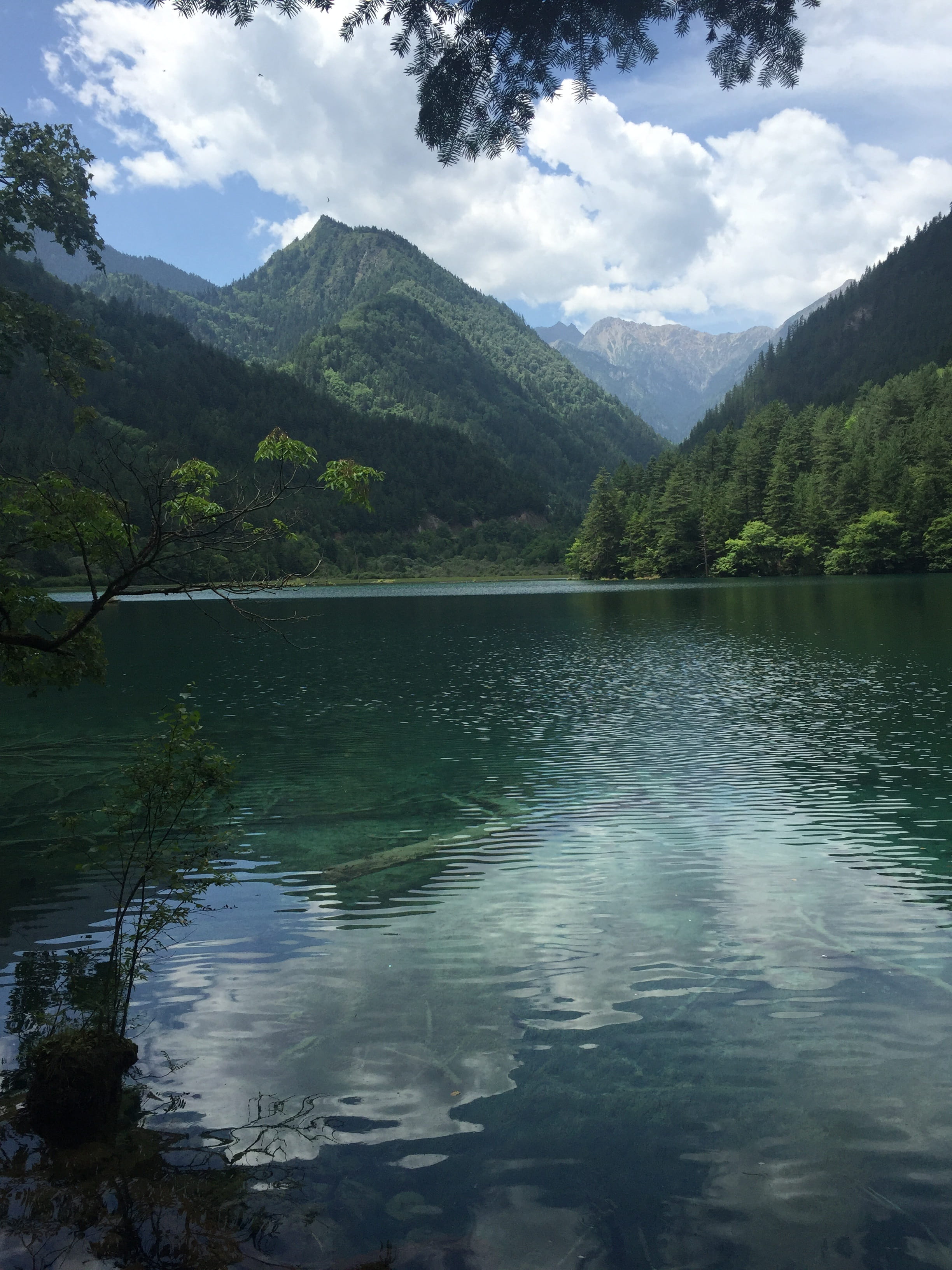 lake, reflection, tree, 2K, jiuzhaigou, tranquility, beauty in nature, non-urban scene, no people, cloud - sky, mountain, plant, mountain range, idyllic, Phone HD Wallpaper