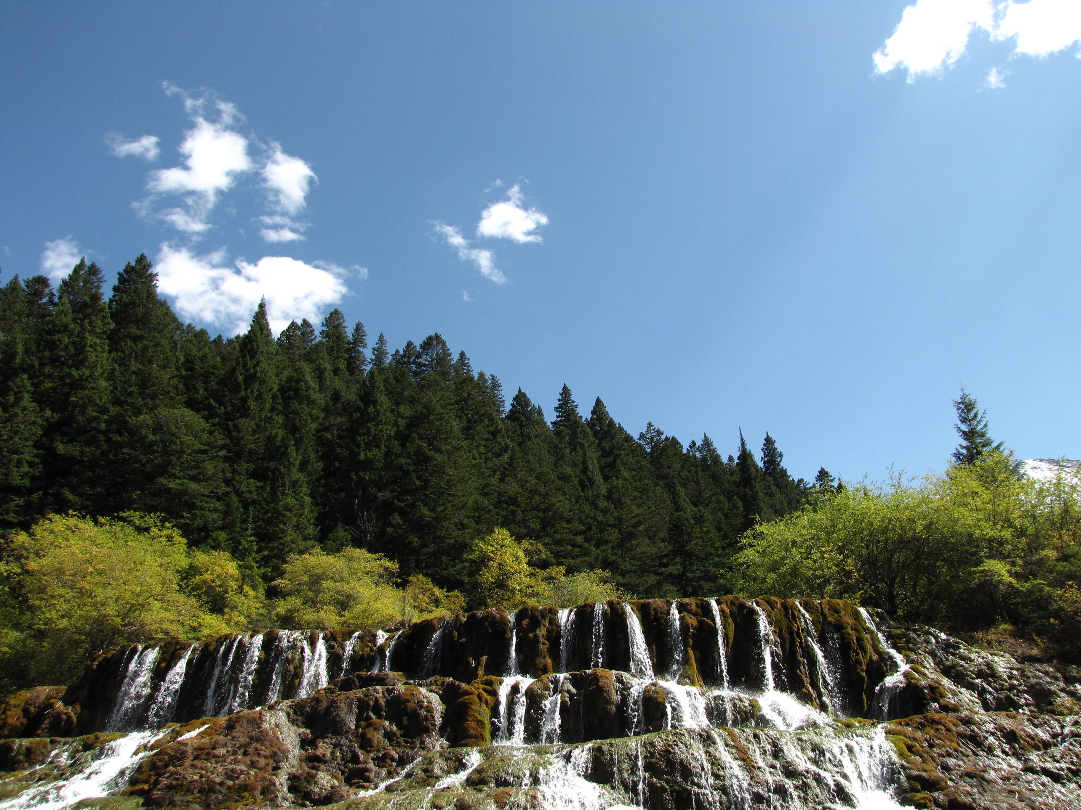 nature, flowing water, land, growth, sky, 2K, water, tree, waterfall, plant, motion, day, tranquility, power in nature, non-urban scene, forest, landscape, HD Wallpaper