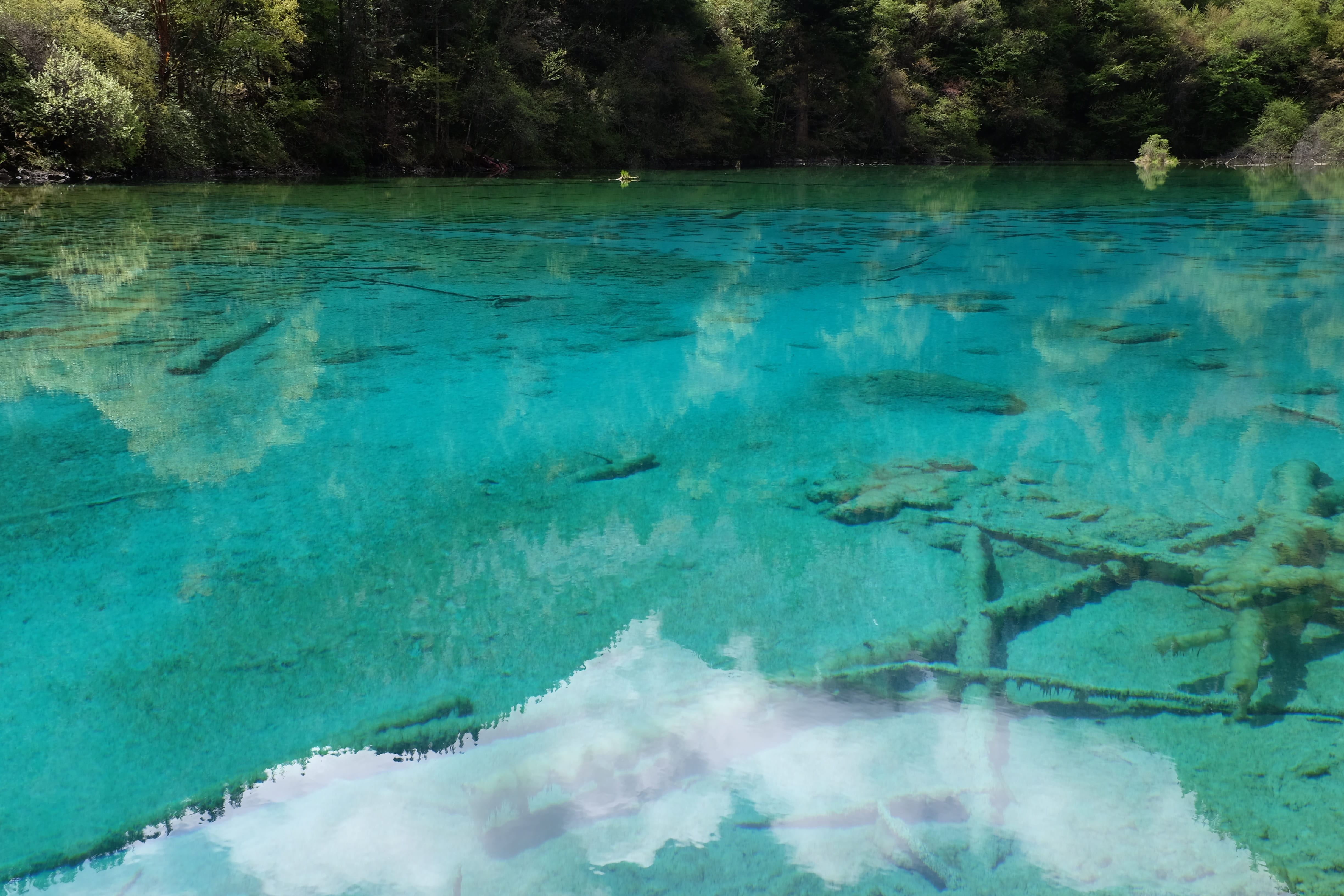 sichuan, swimming pool, outdoors, the scenery, purity, 4K, idyllic, plant, tranquility, tree, china, lake, scenics - nature, day, nature, jiuzhaigou, pool, HD Wallpaper