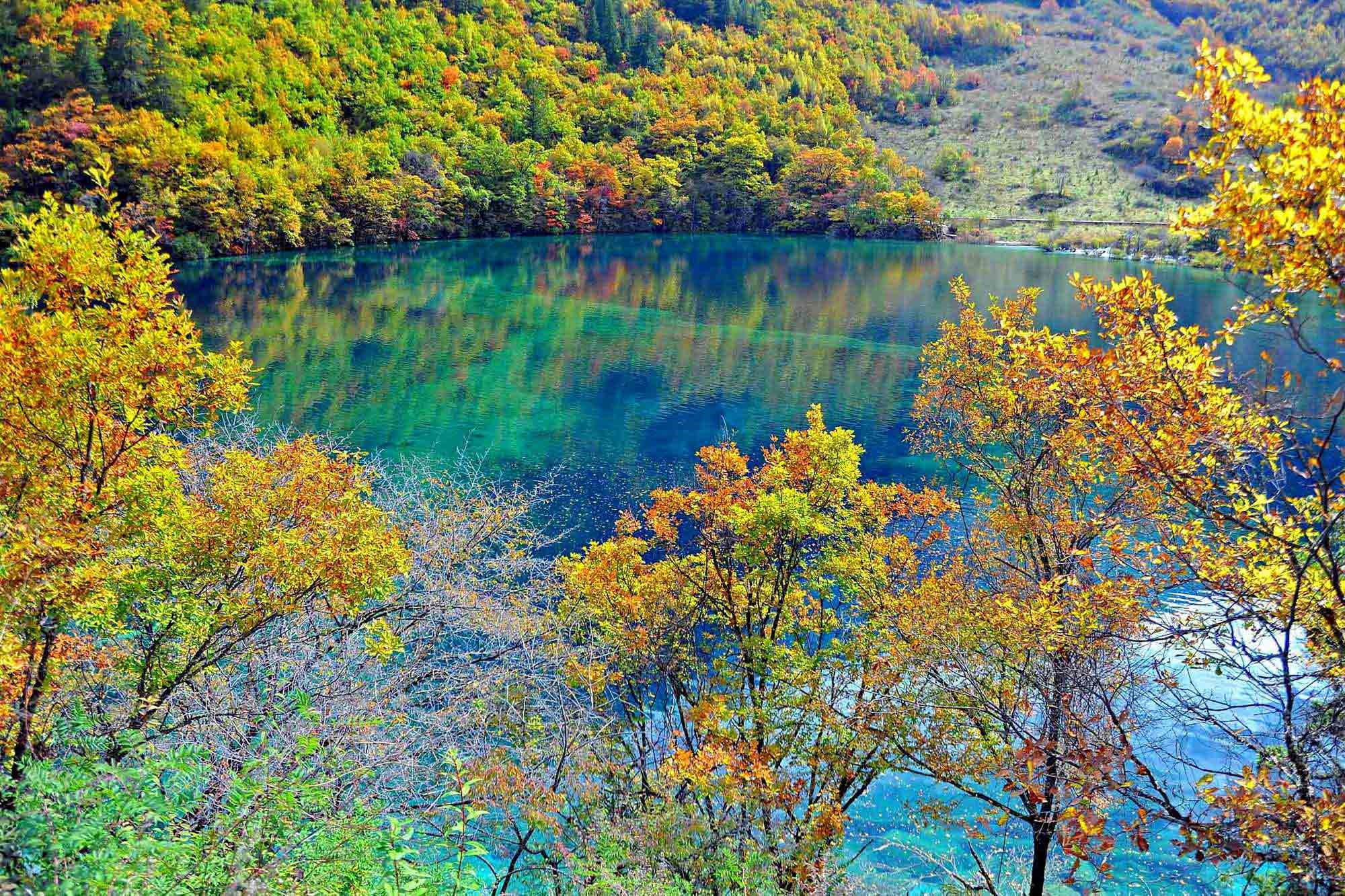 beauty in nature, nature, autumn, day, 1080P, tree, scenics - nature, Crystalline turquoise lake, Jiuzhaigou national park, change, water, China, tranquility, HD Wallpaper