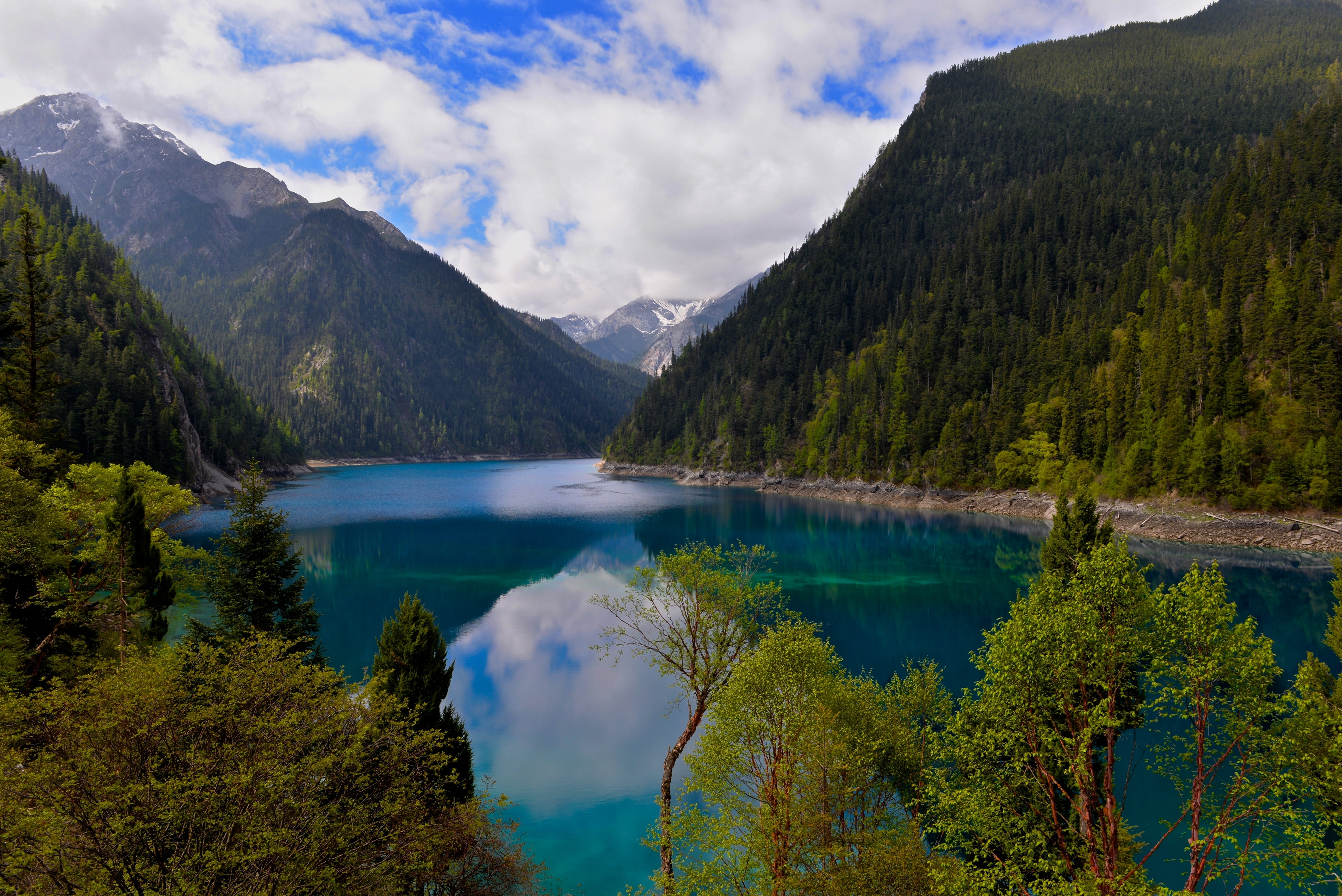 landscape, outdoors, China, mountains, Minshan, 4K, mountain peak, environment, wilderness, tranquility, cloud - sky, trees, tree, beauty in nature, tranquil scene, HD Wallpaper