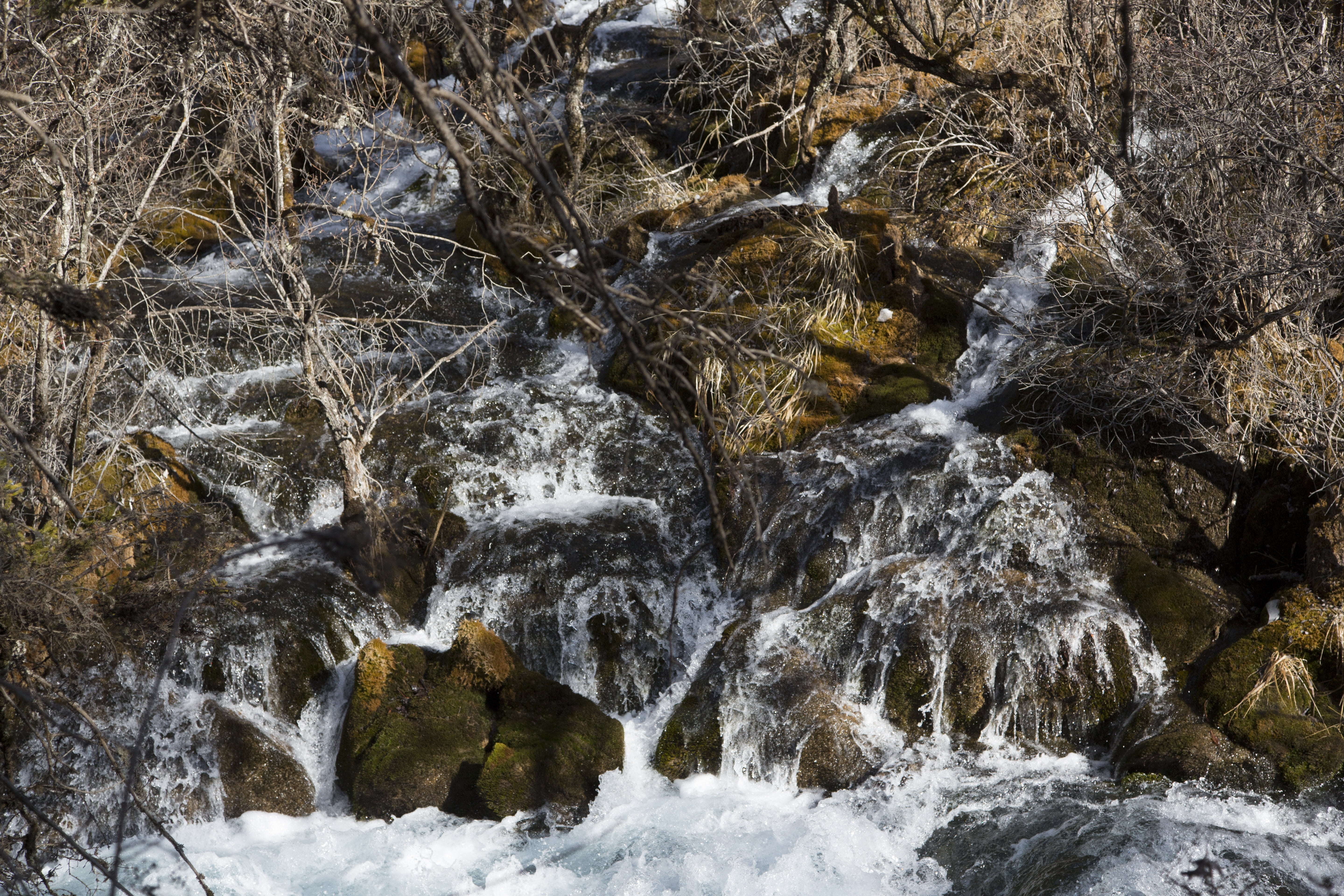 snow, flowing water, scenics - nature, solid, tree, landscape, outdoors, day, land, jiuzhaigou, flowing, scenery, 5K, purity, motion, sichuan, nature, HD Wallpaper