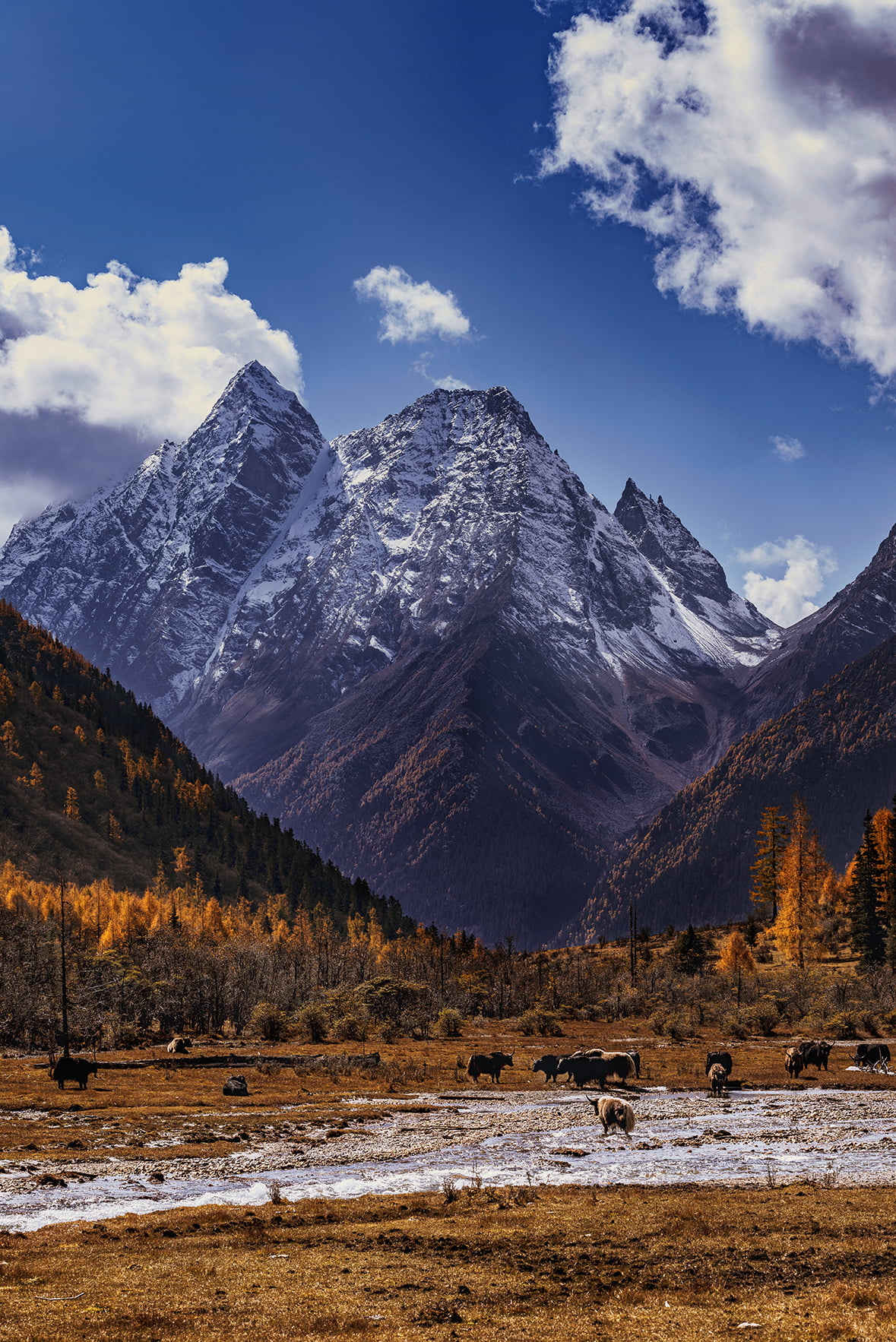 Sichuan, natural scenery, 720P, Phone HD Wallpaper