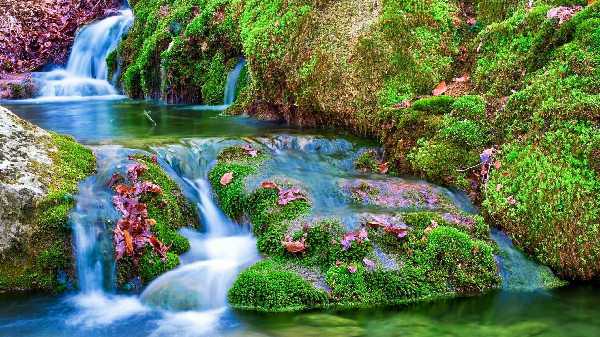 stream, moss, green, waterfall, 1080P, mossy, water, HD Wallpaper