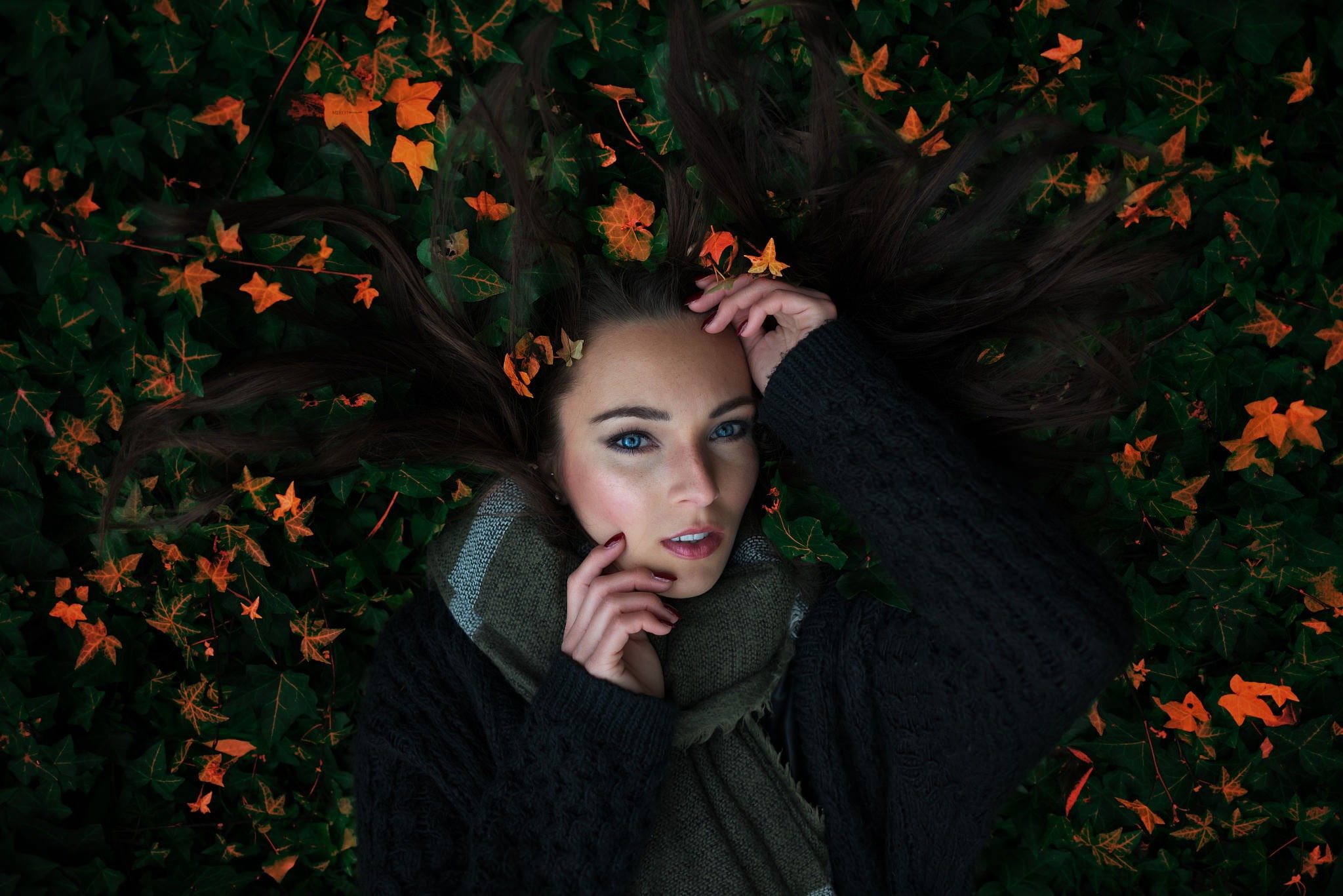 lying down, 1080P, blue eyes, leaves, women, blue, lying, scarf, nature, eyes, HD Wallpaper