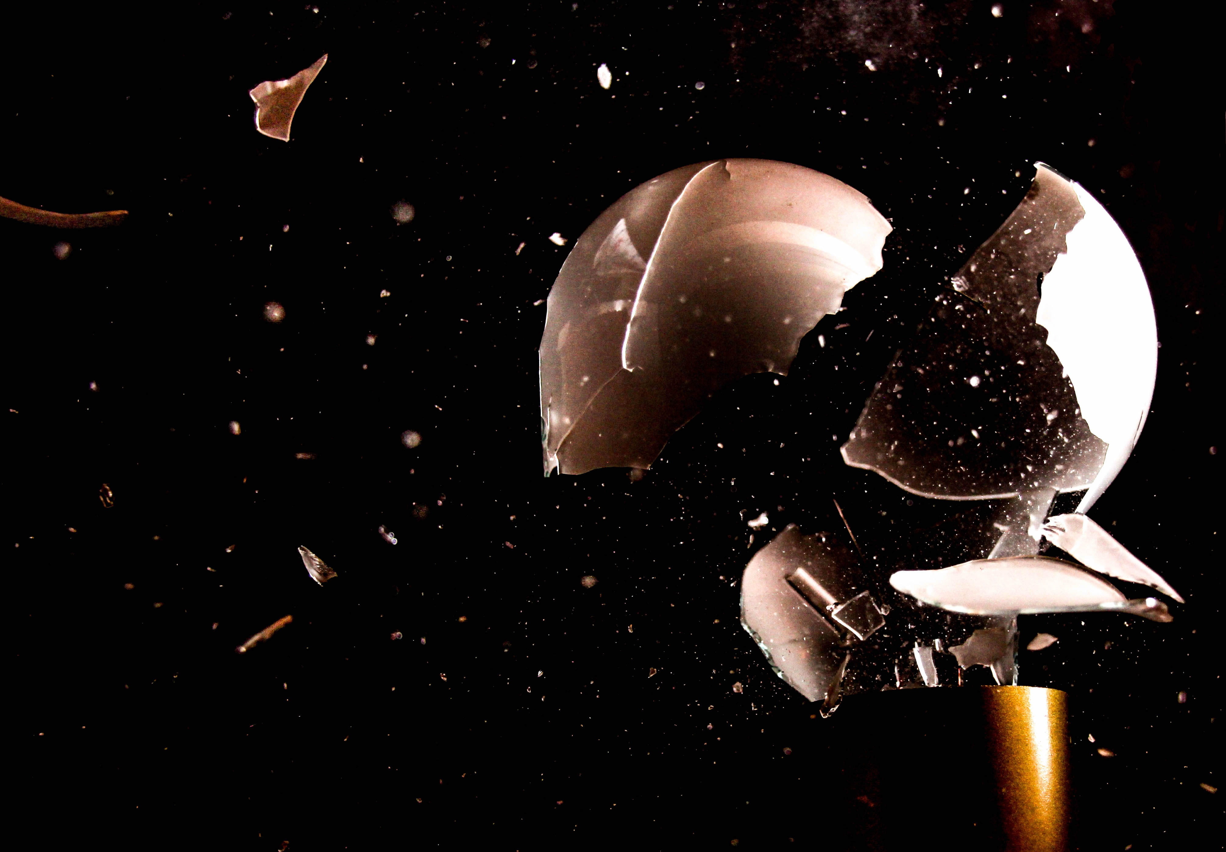 animal themes, food, animal wildlife, shot, light bulb, spaceship, freshness, 4K, indoors, explosion, shell, animal, food and drink, studio shot, night, HD Wallpaper