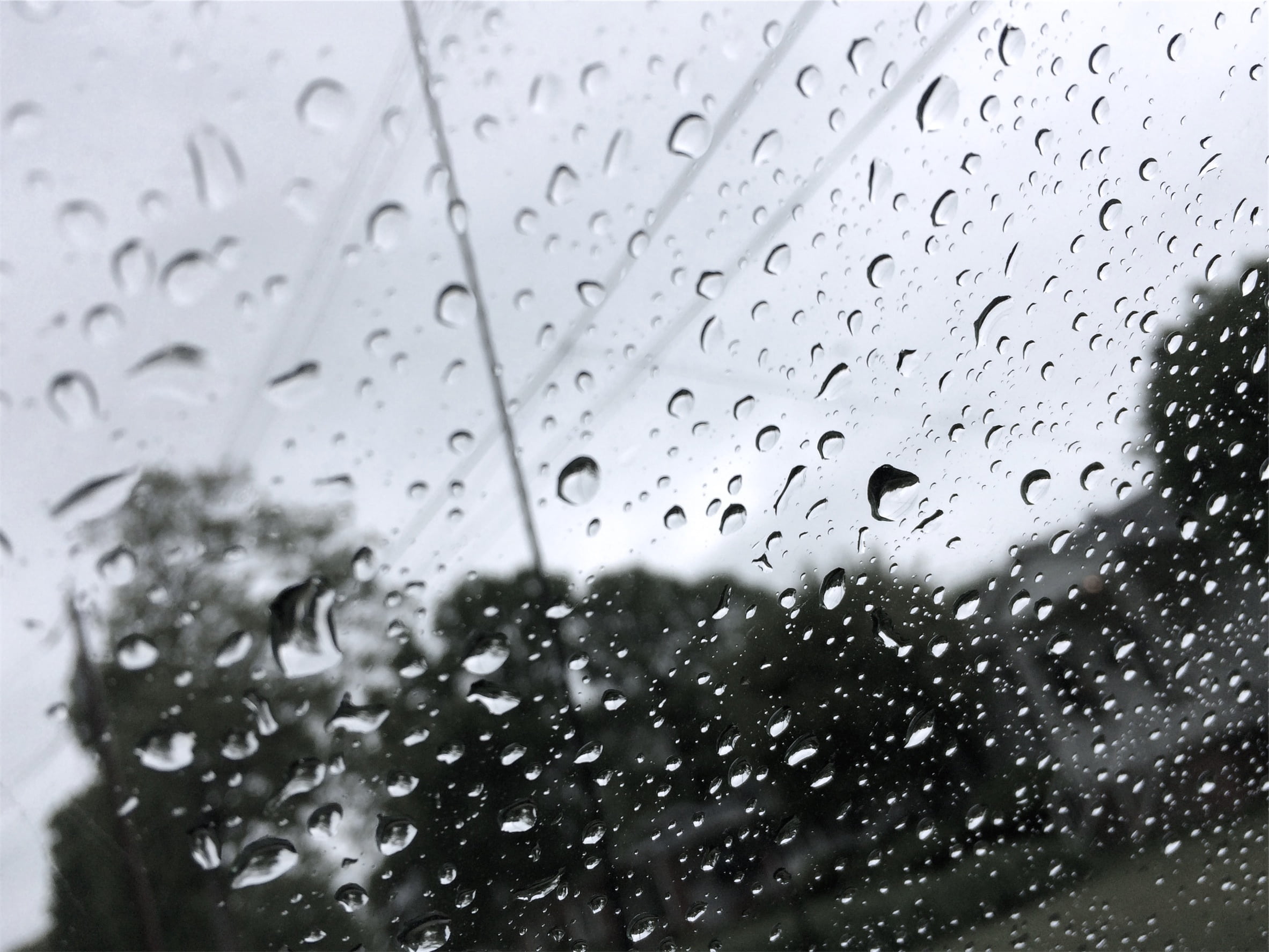 nature, raindrop, glass, vehicle interior, no people, rain, backgrounds, mode of transportation, rainy season, car, close-up, 1080P, purity, transparent, HD Wallpaper