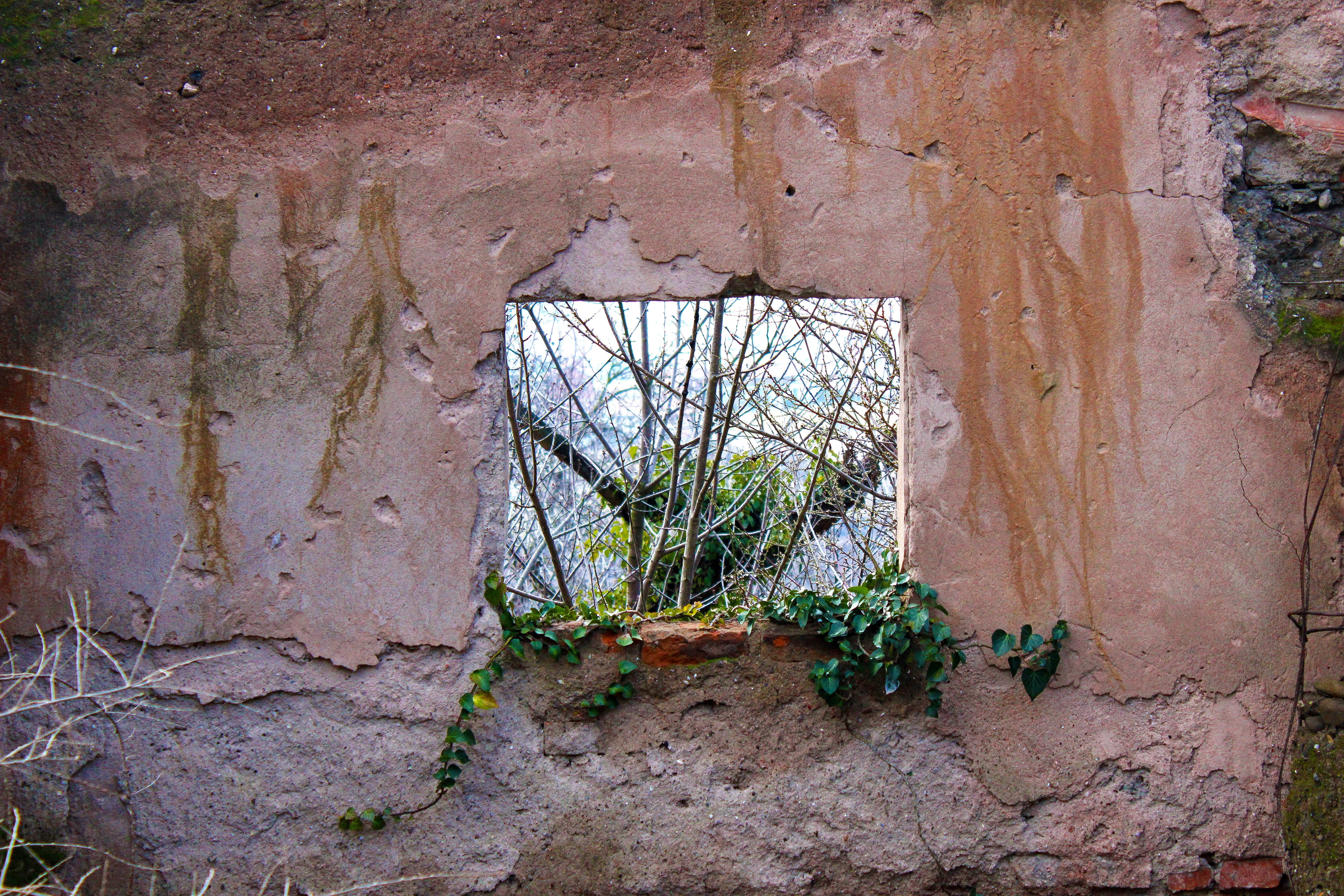 repair, ruin, ornamental, ruined, nature, Hole, damaged, Texture, scratch, day, rusty, entrance, decoration, weathered, antique, house, vintage, Tree, broken, HD Wallpaper