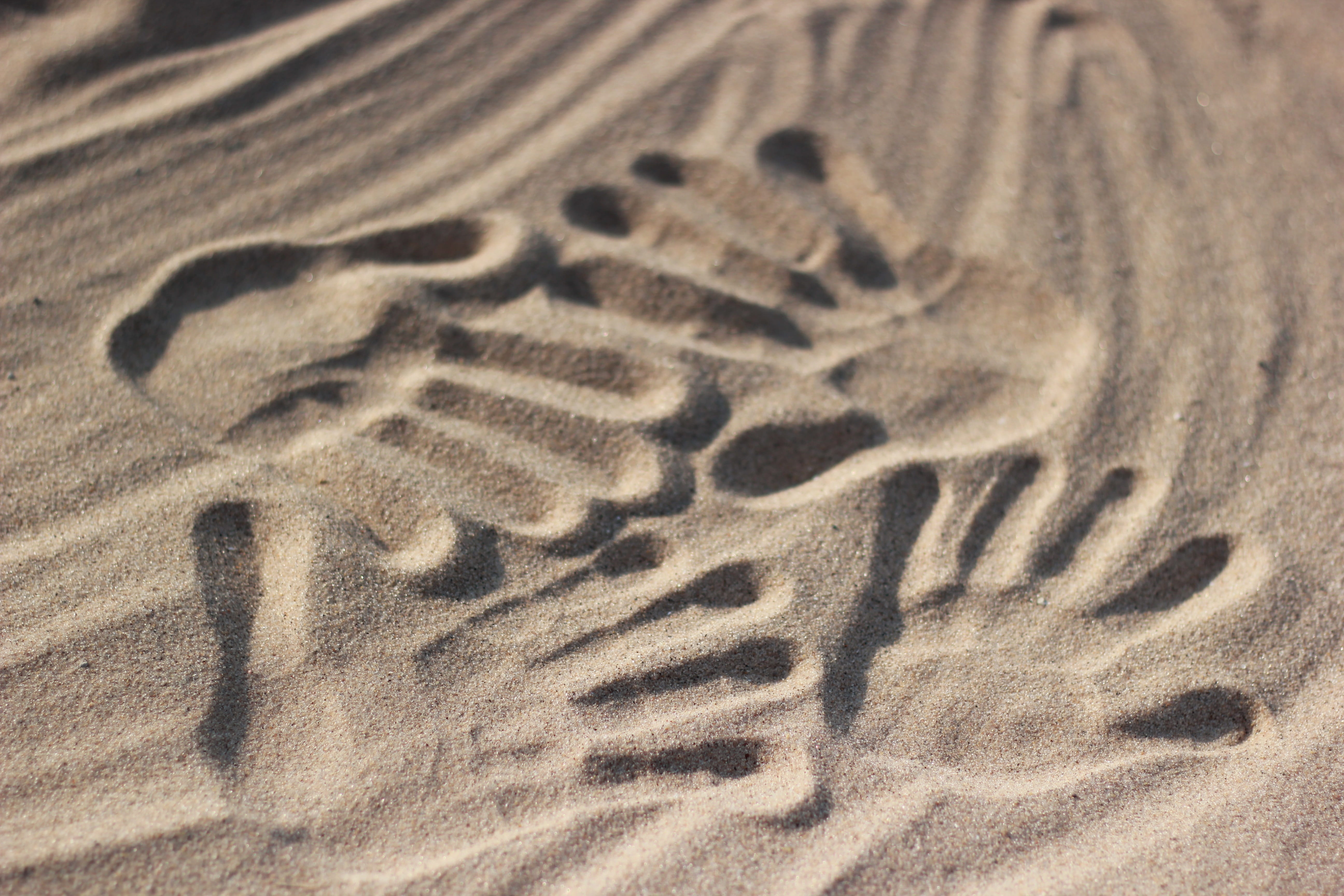 beach, desert, ancient, grey, love, textured, full frame, pattern, tranquility, four, high angle view, hand print, track - imprint, sand dune, arid climate, HD Wallpaper