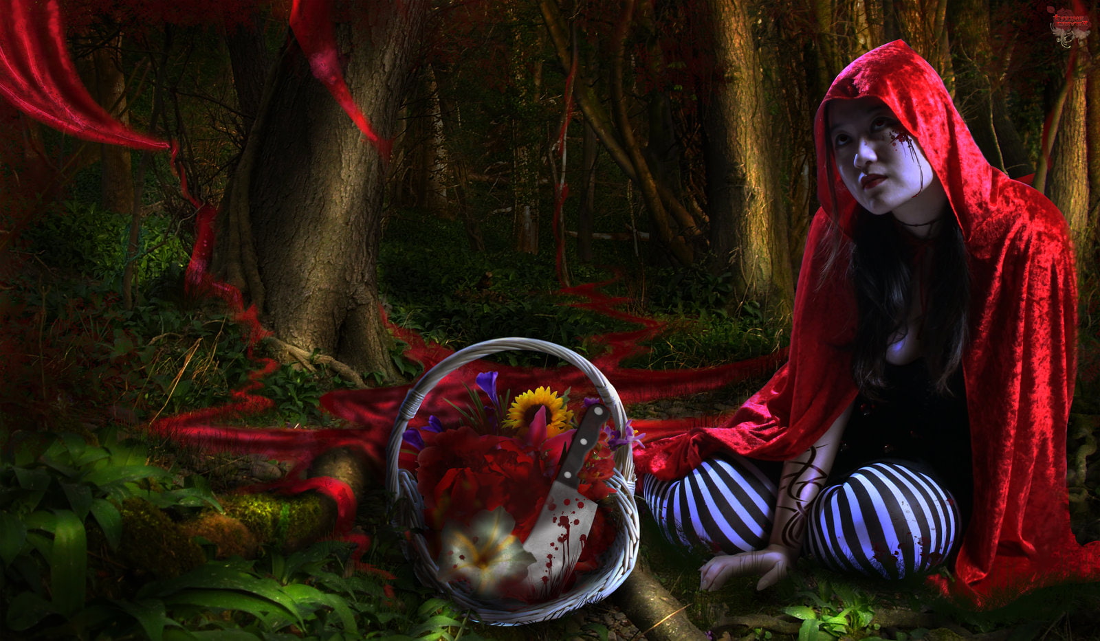 art, horror, women, red, Riding, Gothic, Hood, fantasy, alice, Dark, blood, 720P, HD Wallpaper