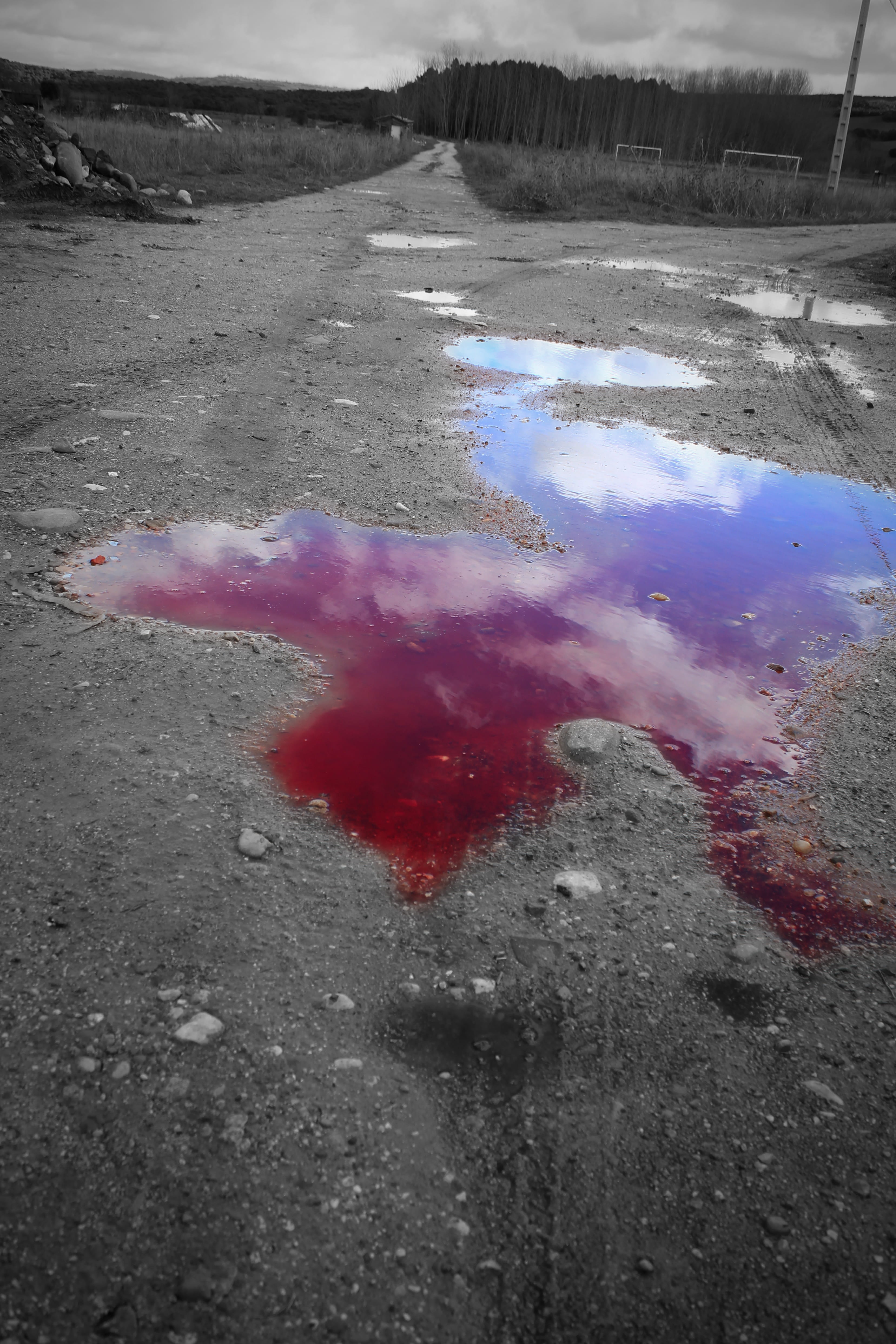 pollution, asphalt, land, red, day, 4K, pink color, transportation, water, no people, tracks, black and white, pool, wet, city, lake, road, nature, blood, Phone HD Wallpaper