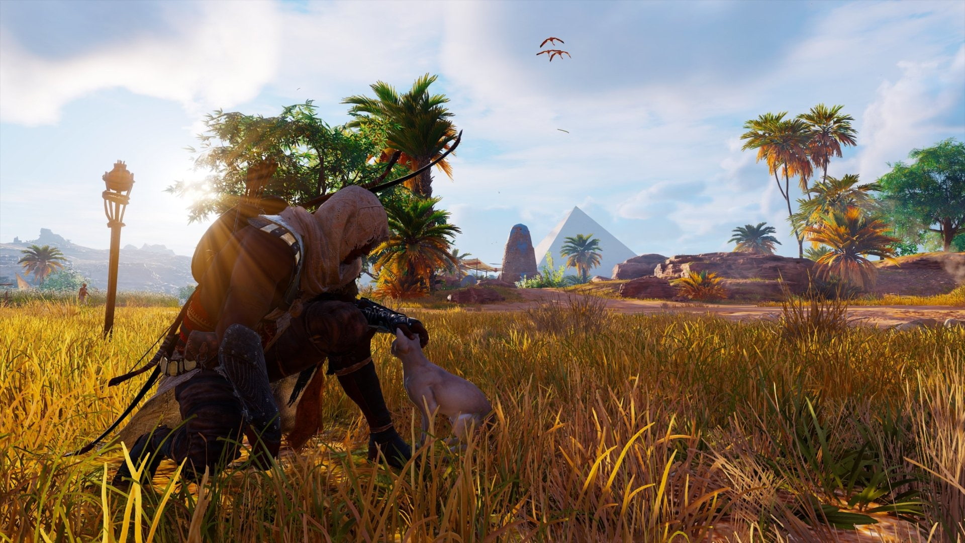 Assassins Creed, 1080P, Assassins Creed Origins, Cat, Bayek Of Siwa, HD Wallpaper