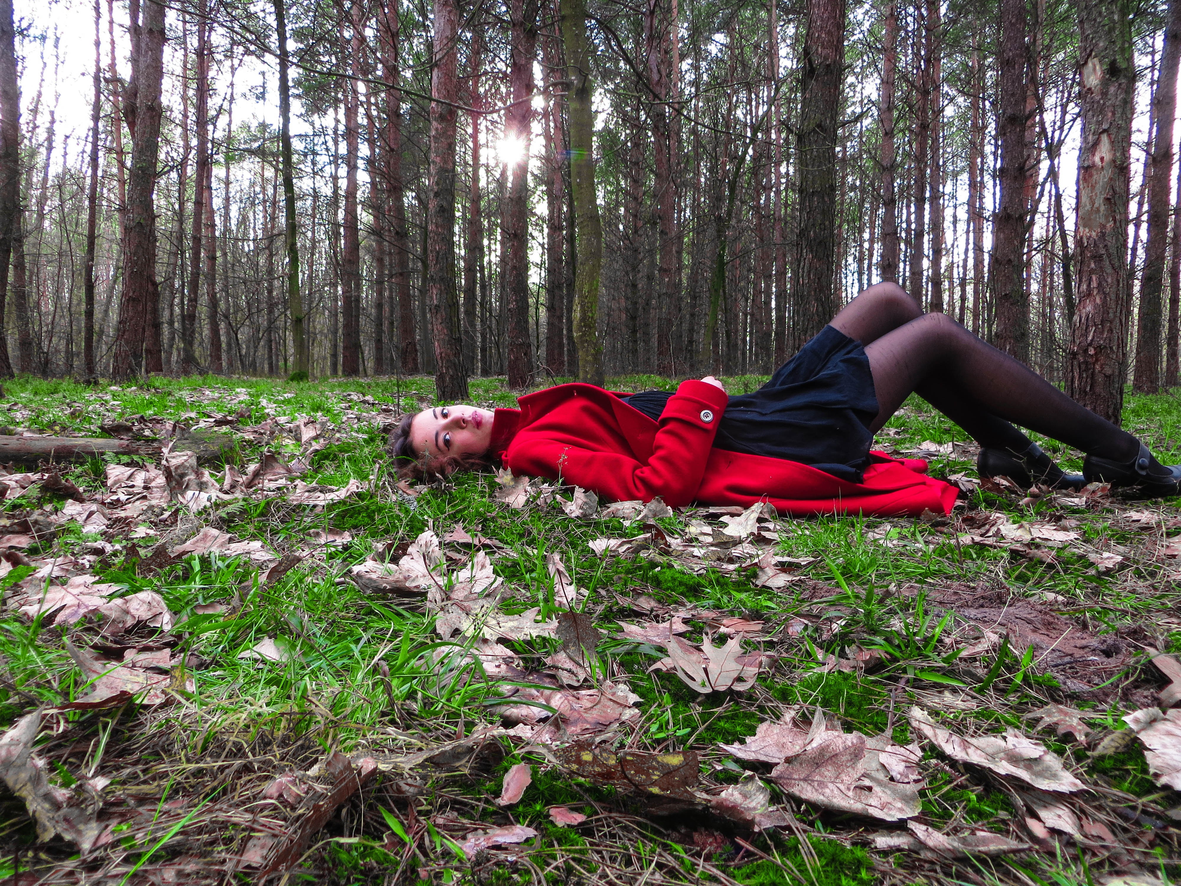 tree trunk, day, tree, real people, red coat, growth, woodland, brunette, full length, leisure activity, trunk, lifestyles, model, plant, 4K, lying down, HD Wallpaper