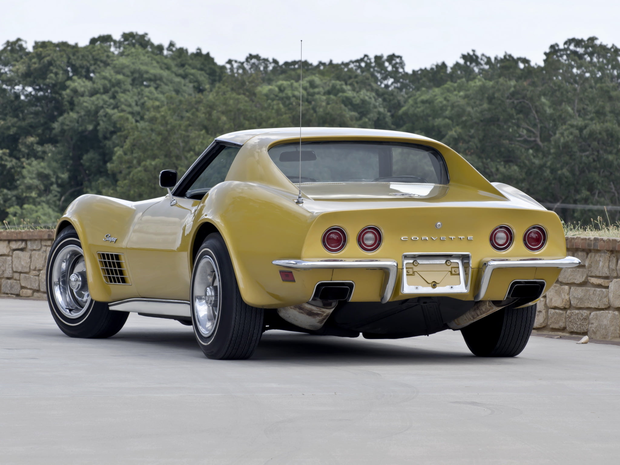 machine, tree, mode of transportation, motor vehicle, street, Chevrolet, travel, 1080P, transportation, back, Corvette, plant, Stingray, retro, nature, HD Wallpaper