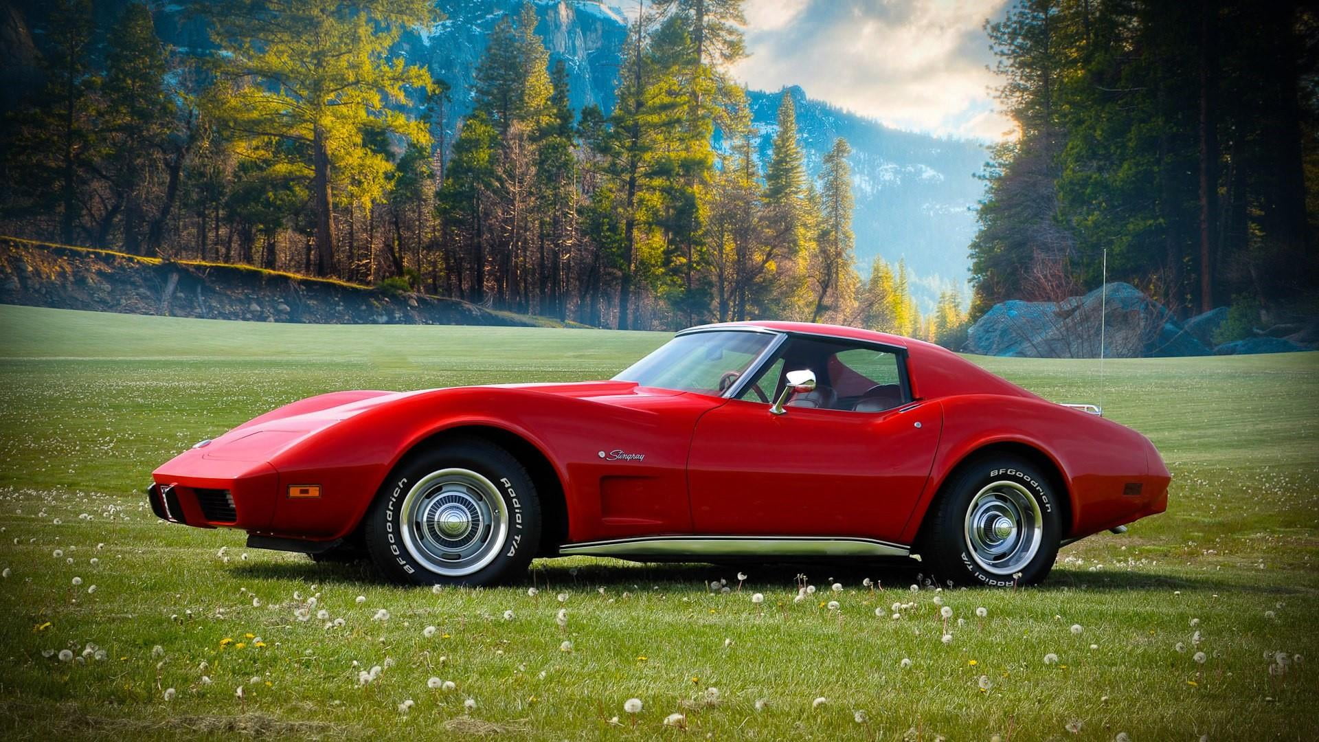 automotive design, nature, no people, red car, red, growth, retro styled, motor vehicle, 1080P, chevrolet, tree, chevrolet corvette, stingray, vehicle, HD Wallpaper