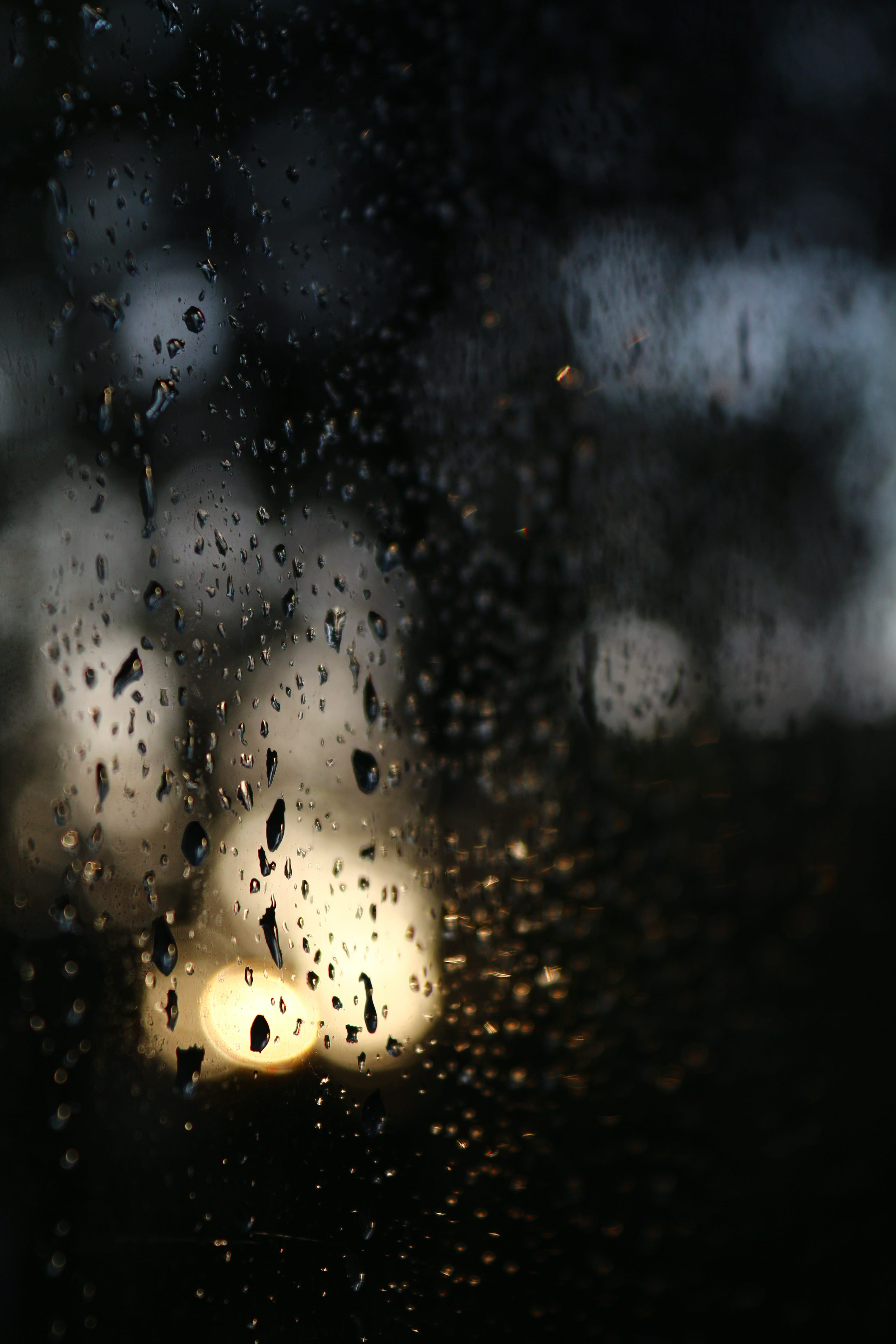 indoors, bright, close-up, blur, closeup, dark, full frame, selective focus, 5K, storm, soft, transparent, glass - material, wet, dark background, rain, Phone HD Wallpaper