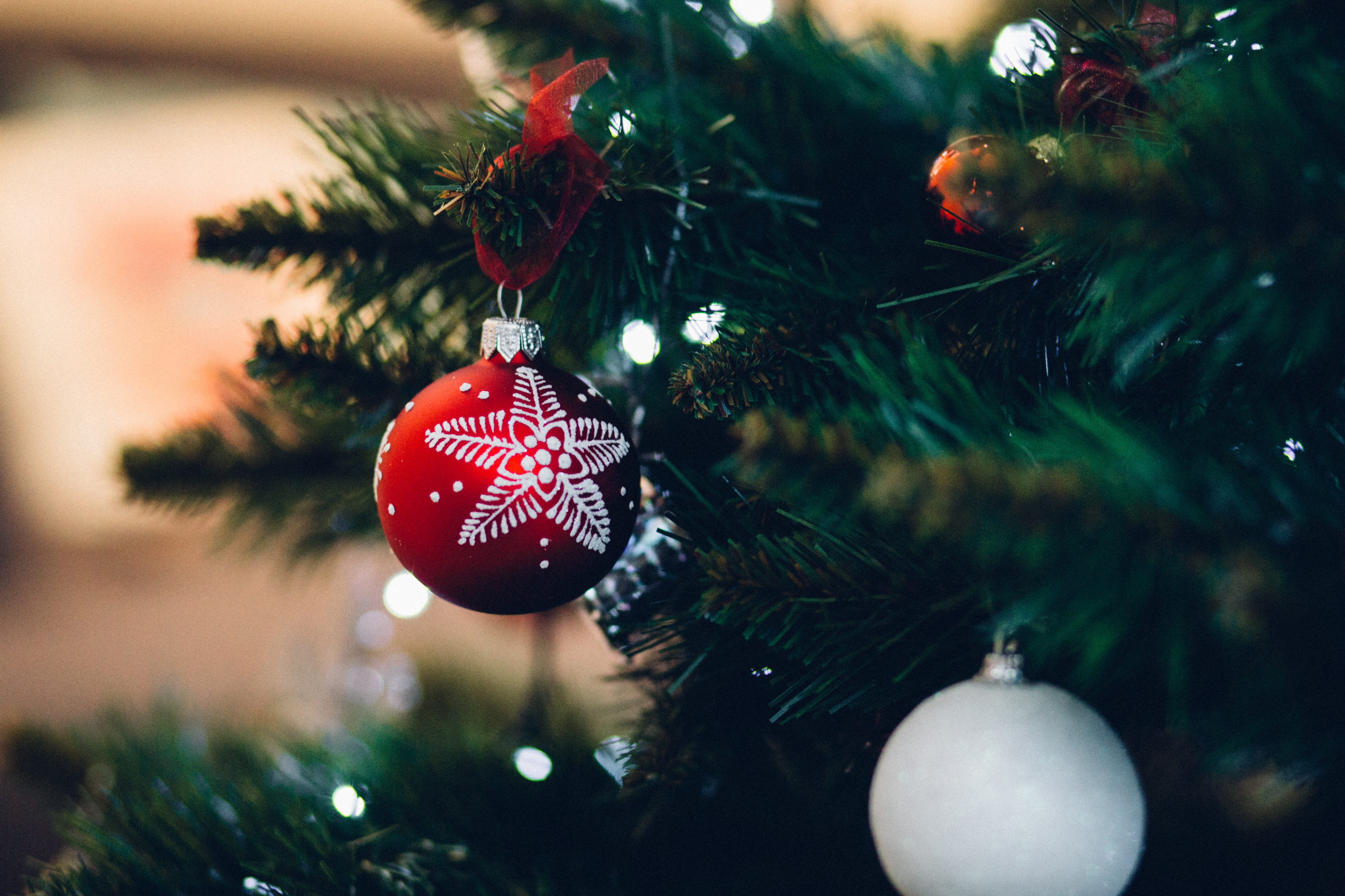 5K, ball, blurry, celebrate, close-up, nature, holiday, event, plant, coniferous tree, photography, concept, background, christmas tree, tree, christmas decoration, HD Wallpaper