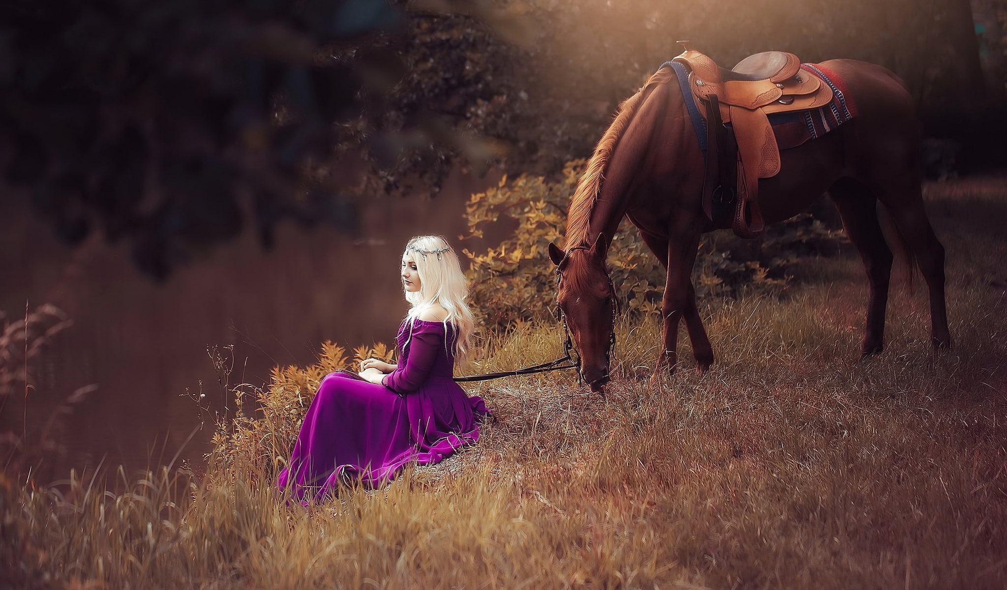 clothing, adult, animal wildlife, young adult, land, grass, mammal, people, hairstyle, animals, pets, domestic, fantasy girl, horse, hair, field, women, HD Wallpaper