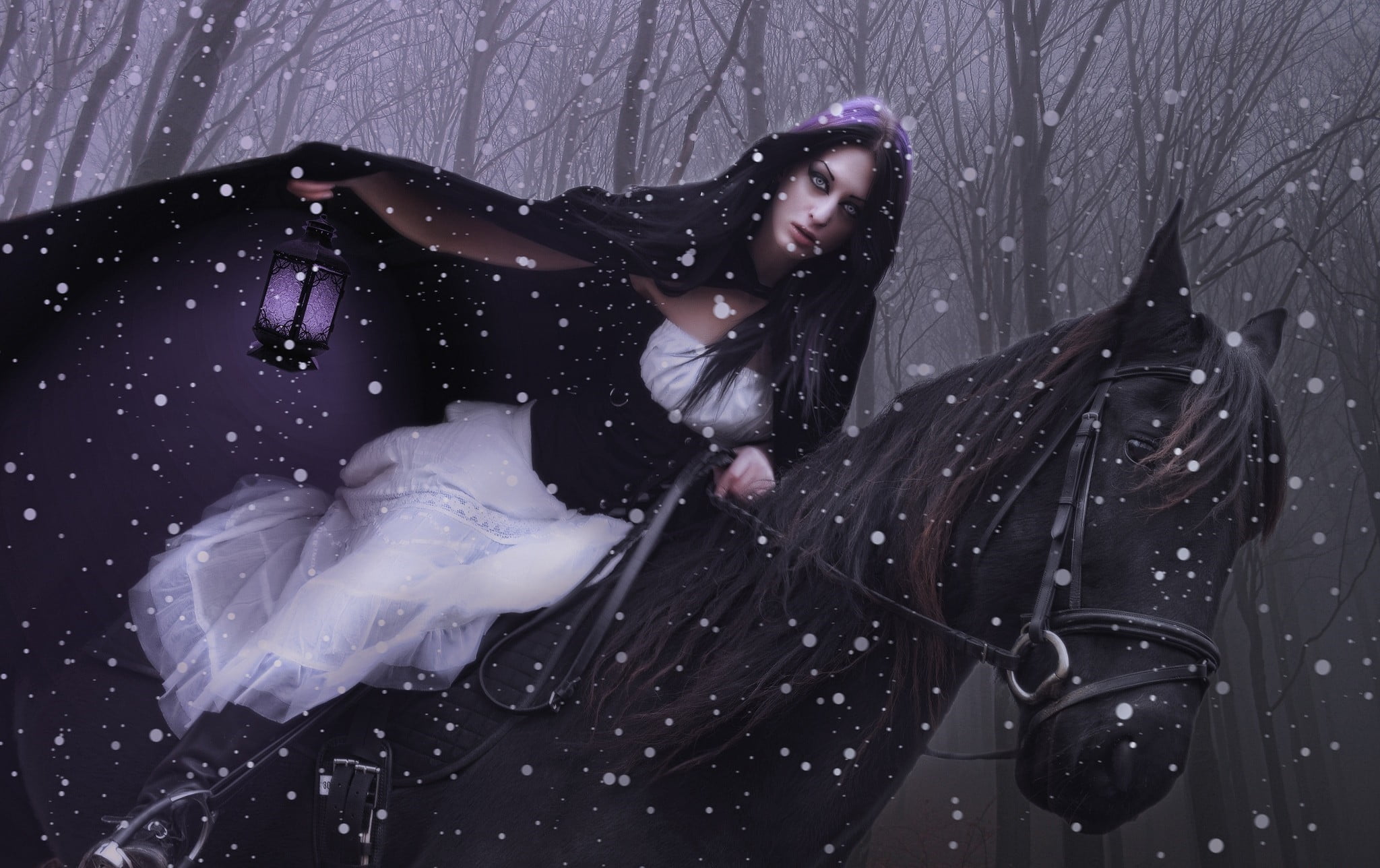 lantern, horse, adult, three quarter length, young adult, fantasy art, winter, long hair, snow, warm clothing, fantasy girl, snowing, hairstyle, beautiful woman, HD Wallpaper