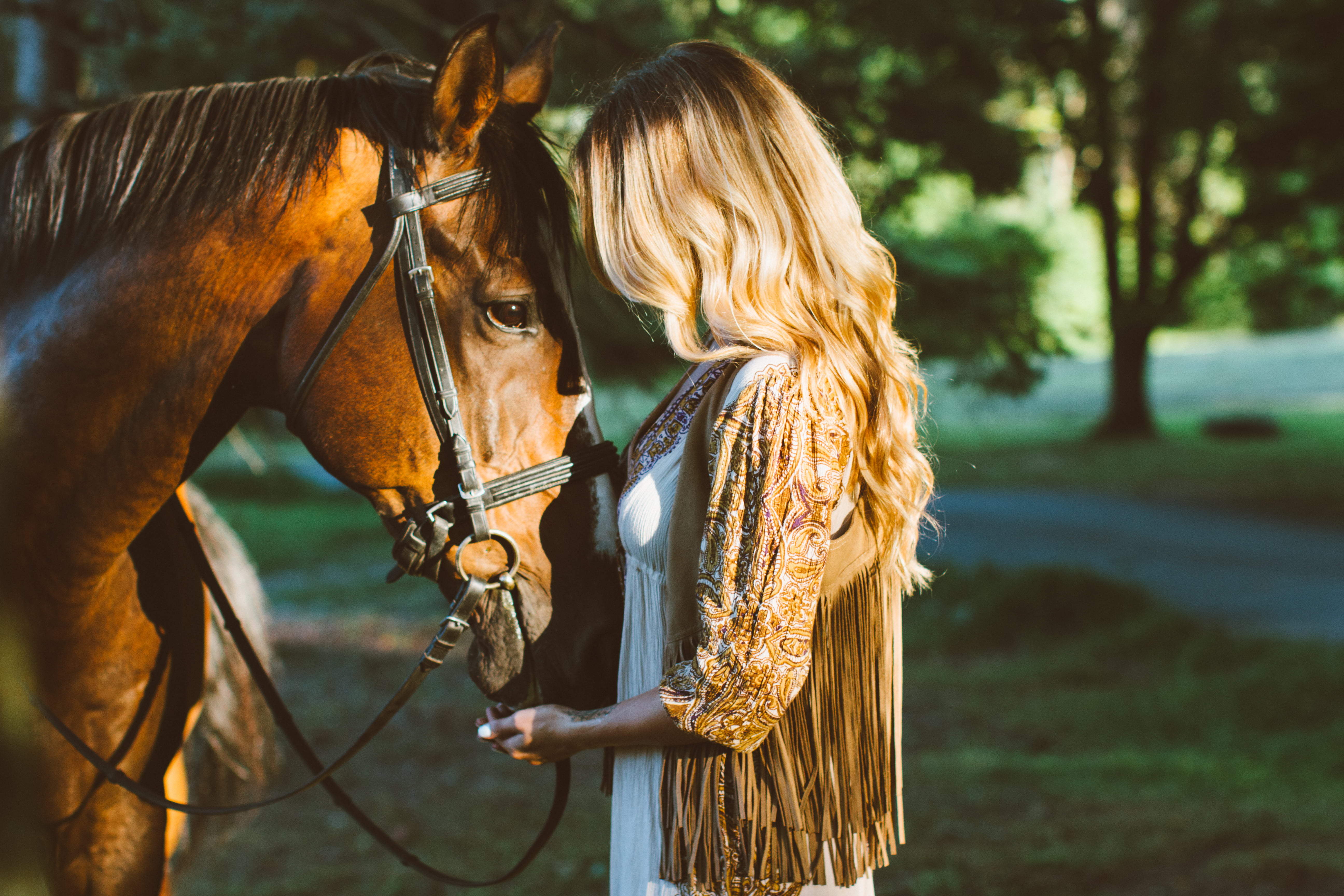 blonde, day, non-Urban Scene, hair, riding, portrait, animal, females, adult, forest, lifestyles, herbivorous, young Adult, mare, brown, sunlight, beauty, HD Wallpaper