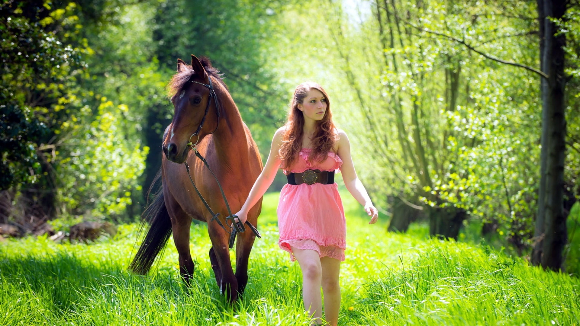 1080P, Horse, Grass, Forest, Girl, HD Wallpaper