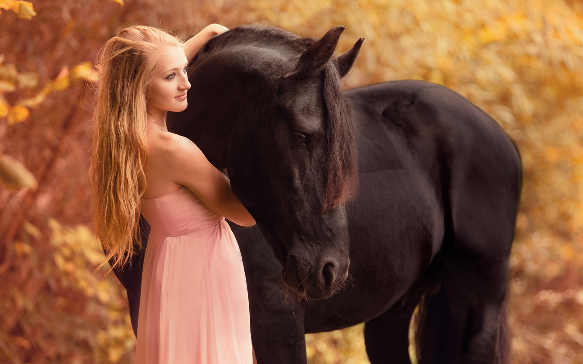 Girl, 1080P, Horse, HD Wallpaper