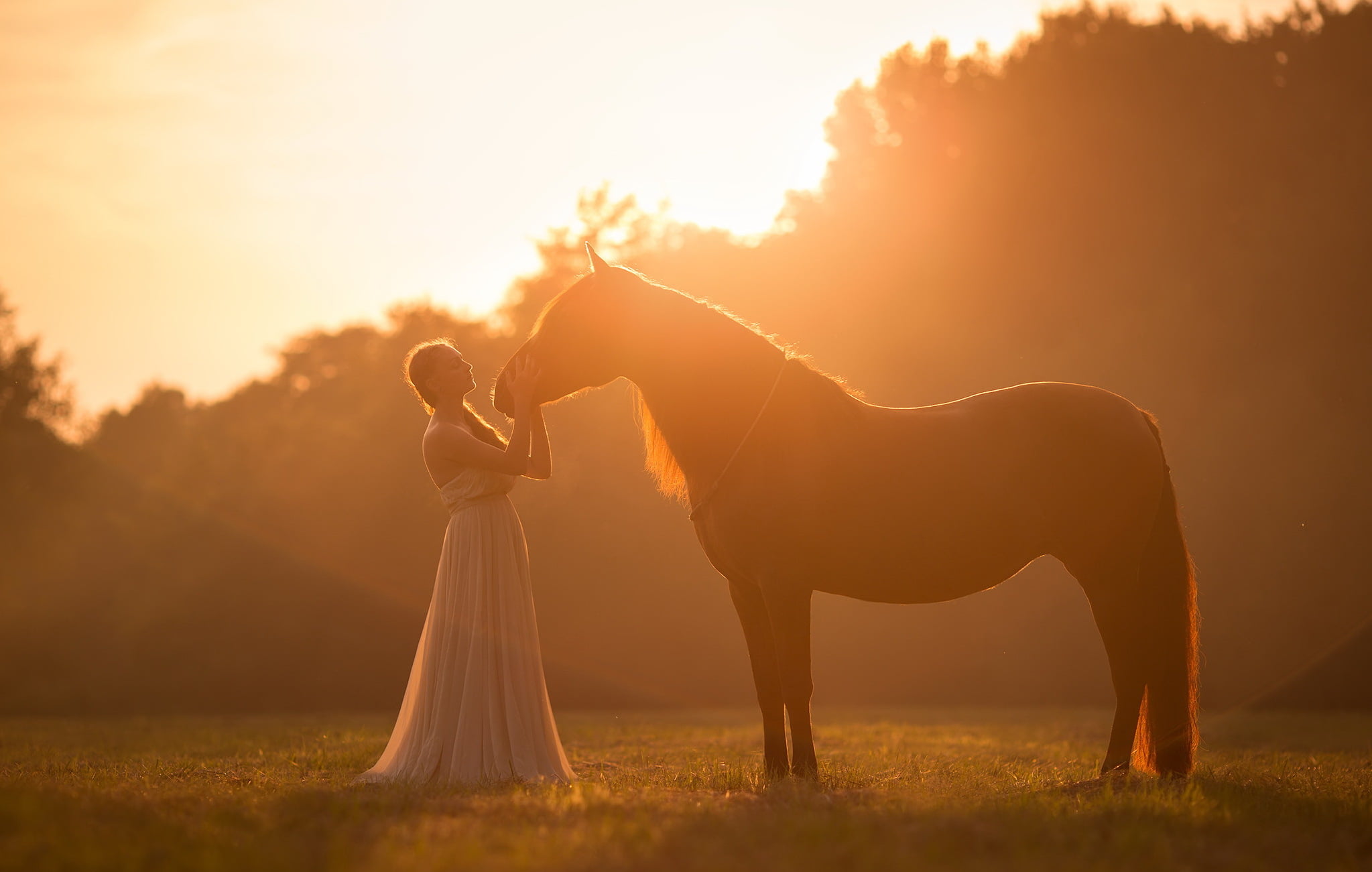 sunset, animal, plant, standing, grass, domestic animals, women, mammal, full length, fantasy girl, herbivorous, silhouette, nature, twilight, sunlight, HD Wallpaper
