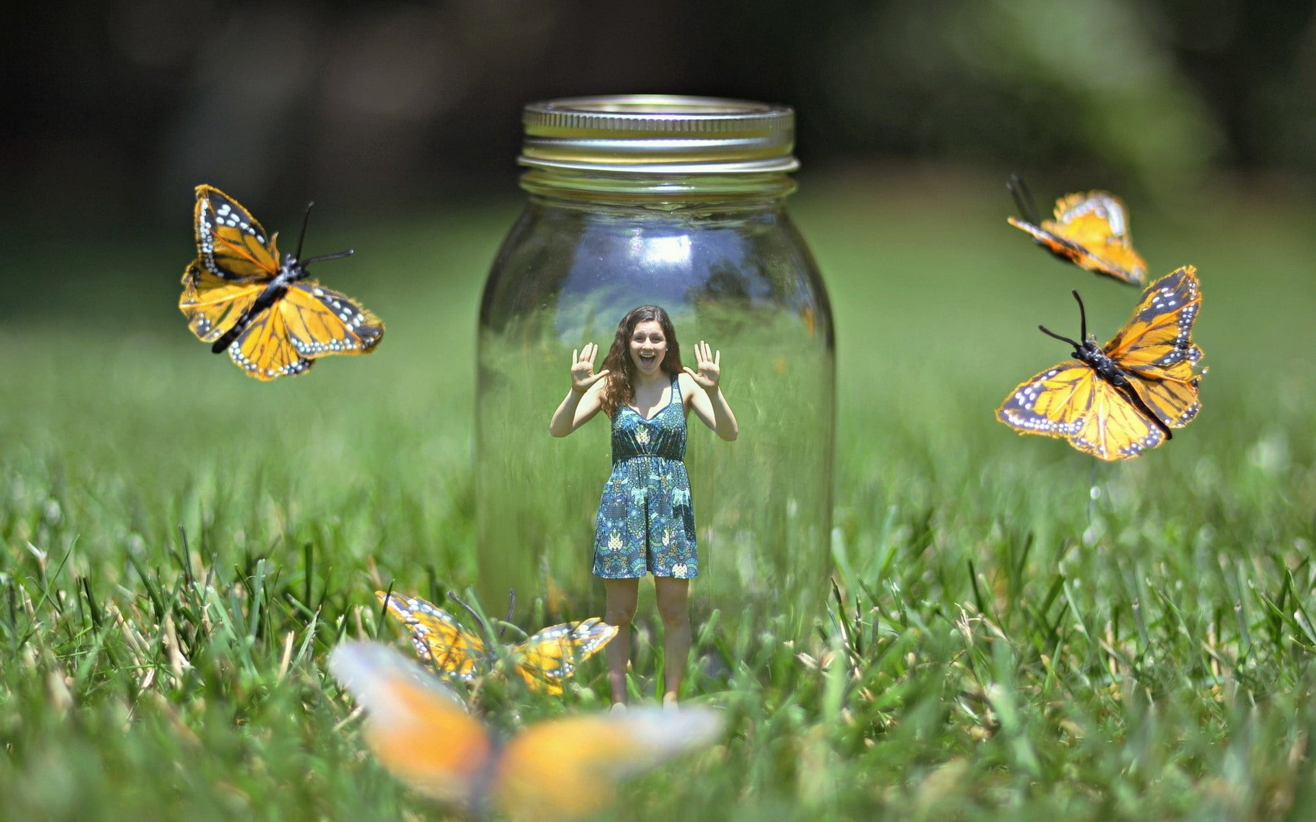 close-up, backgrounds, women, multi Colored, flower, insect, animal, small, land, beauty In Nature, yellow, 1080P, mason, grass, field, girl, clothing, HD Wallpaper