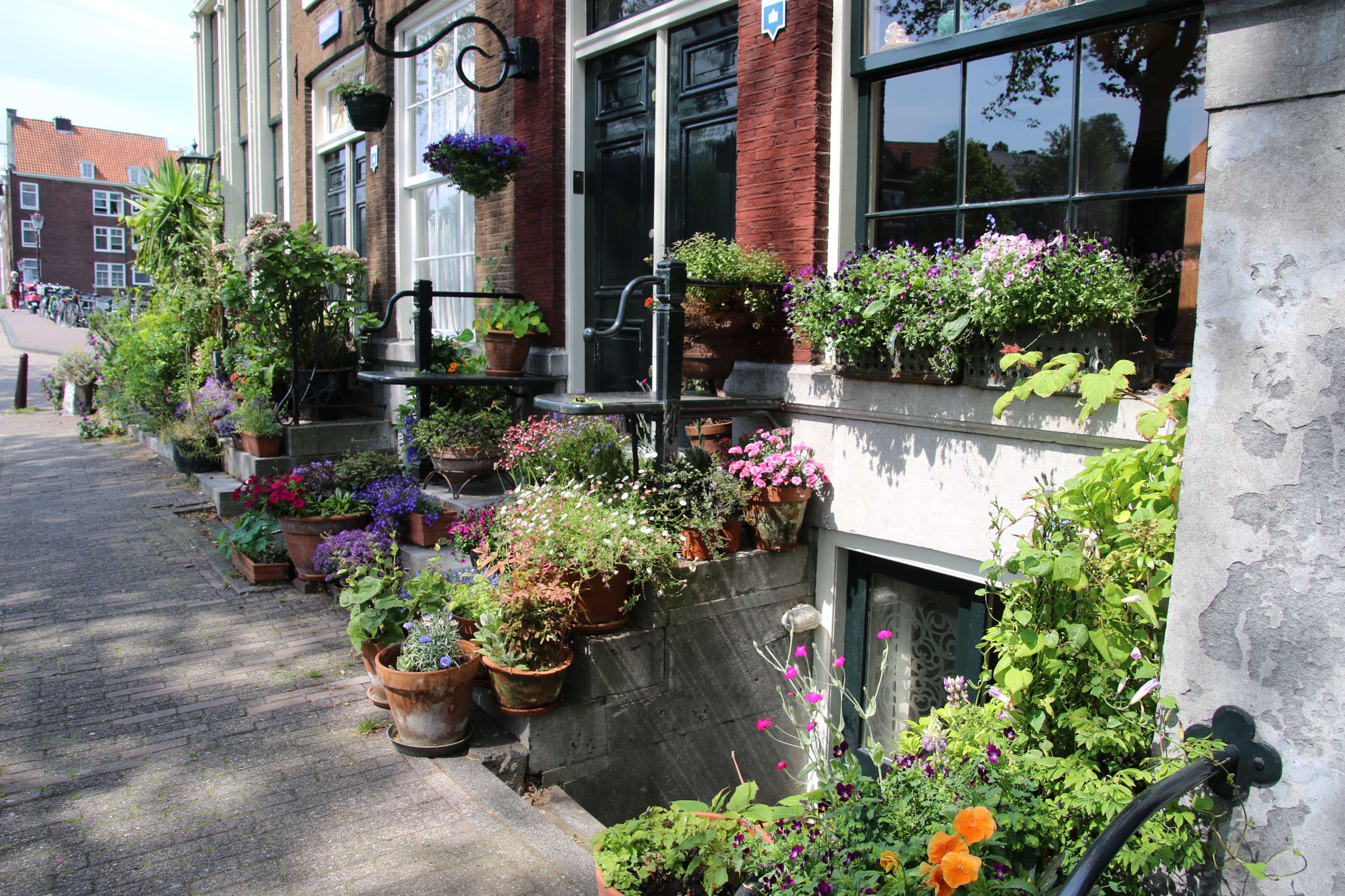 growth, no people, flowers, potted plant, 4K, gardening, fragility, outdoors, decorate, building, europe, day, garden, flower, building exterior, architecture, HD Wallpaper