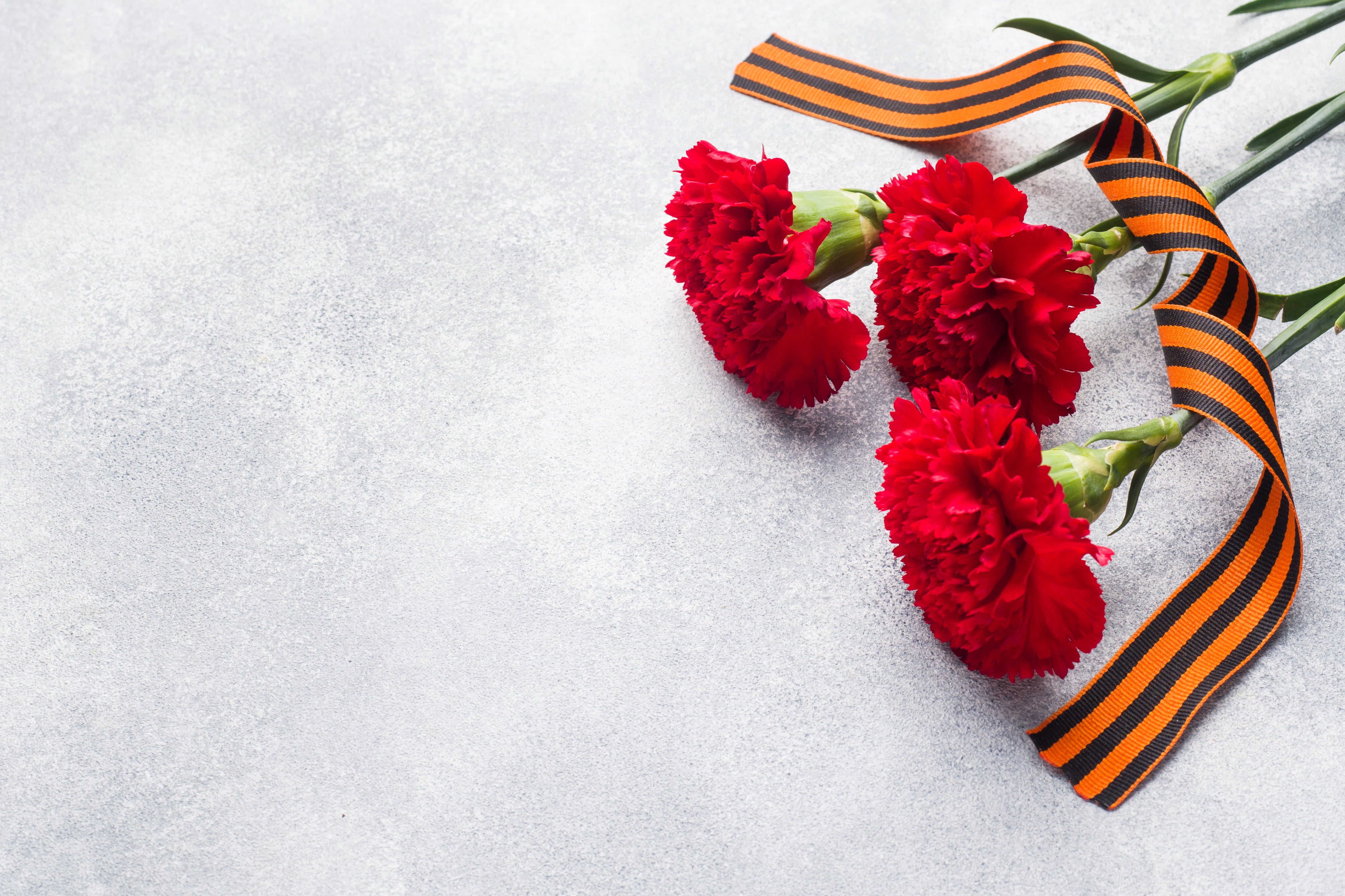 flowers, St. George ribbon, holiday, May 9, victory day, carnation, candles, 4K, HD Wallpaper
