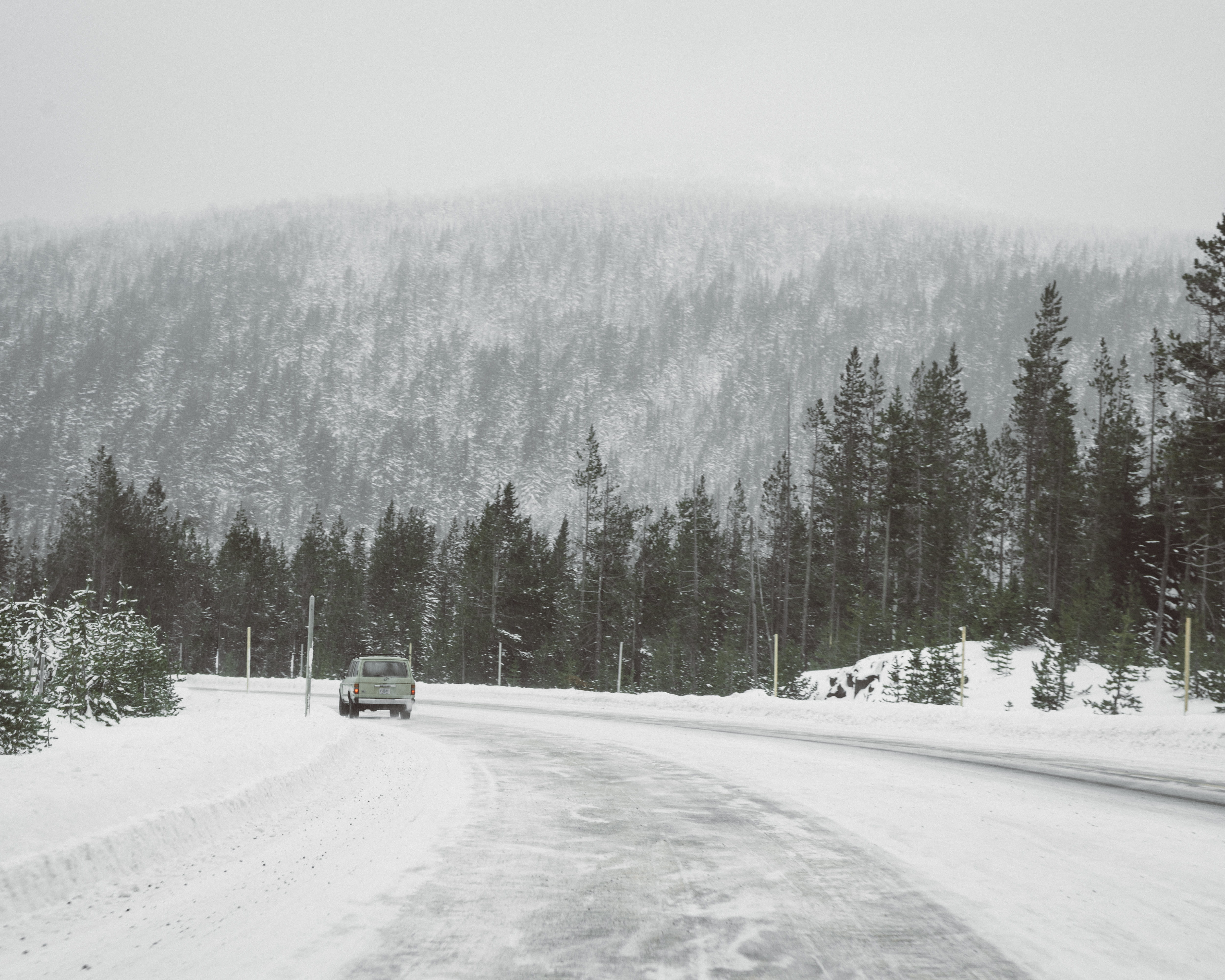 plant, road trip, extreme weather, vehicle, scenics - nature, day, wagon, land, 4K, no people, beauty in nature, truck, blizzard, motor vehicle, snow, HD Wallpaper