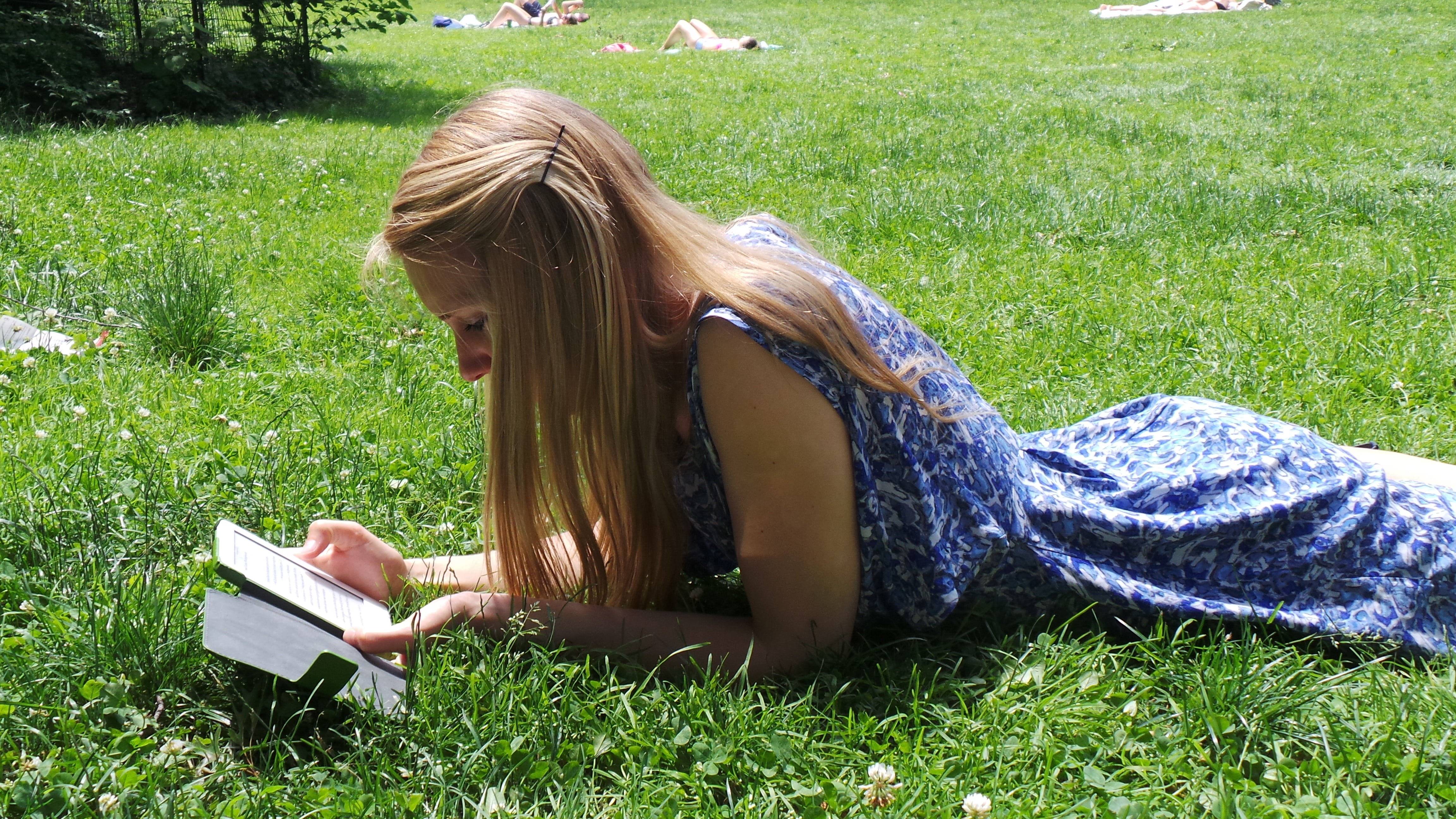 women, leisure activity, caucasian Ethnicity, field, studying, park - Man Made Space, hairstyle, blue, floral, relaxation, one Person, blond hair, females, HD Wallpaper