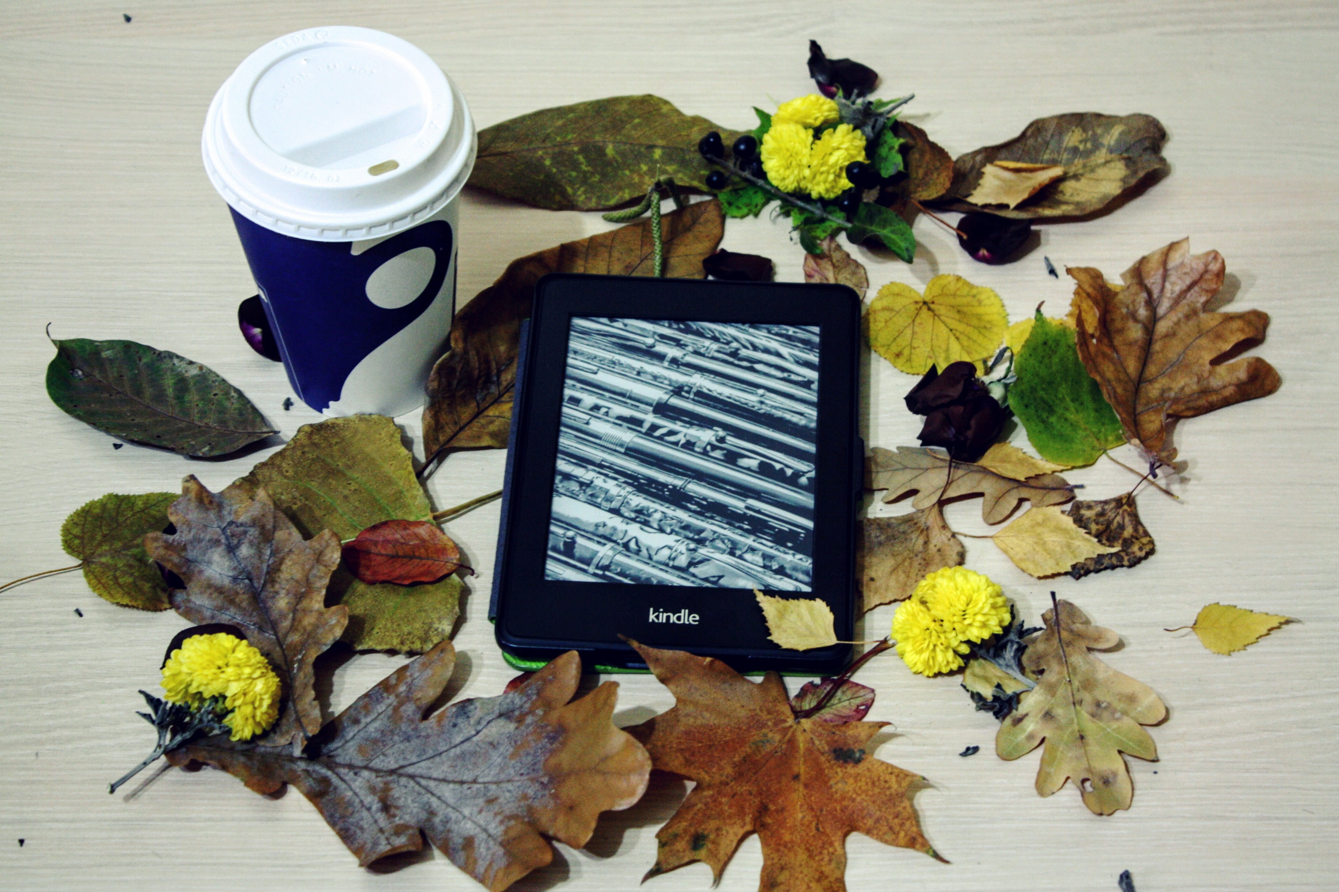 beauty in nature, Reading, nature, e-book, internet, natural, book, digital, communication, electronic, season, still life, Kindle, White, autumn, Pepper, HD Wallpaper