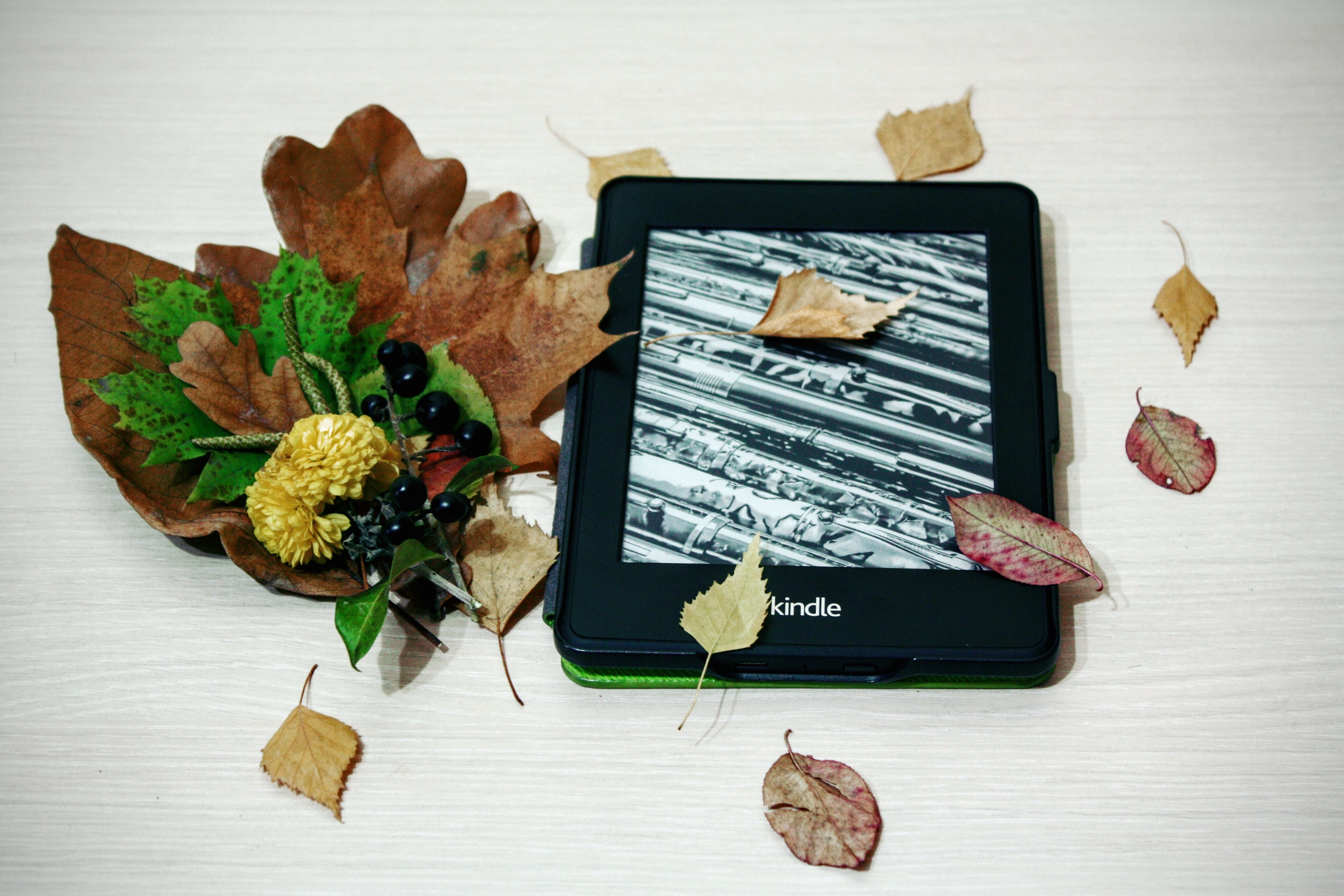 black, table, freshness, wellbeing, food and drink, natural, choice, e, internet, food, autumn, indoors, nature, close-up, kindle, technology, electronic, HD Wallpaper