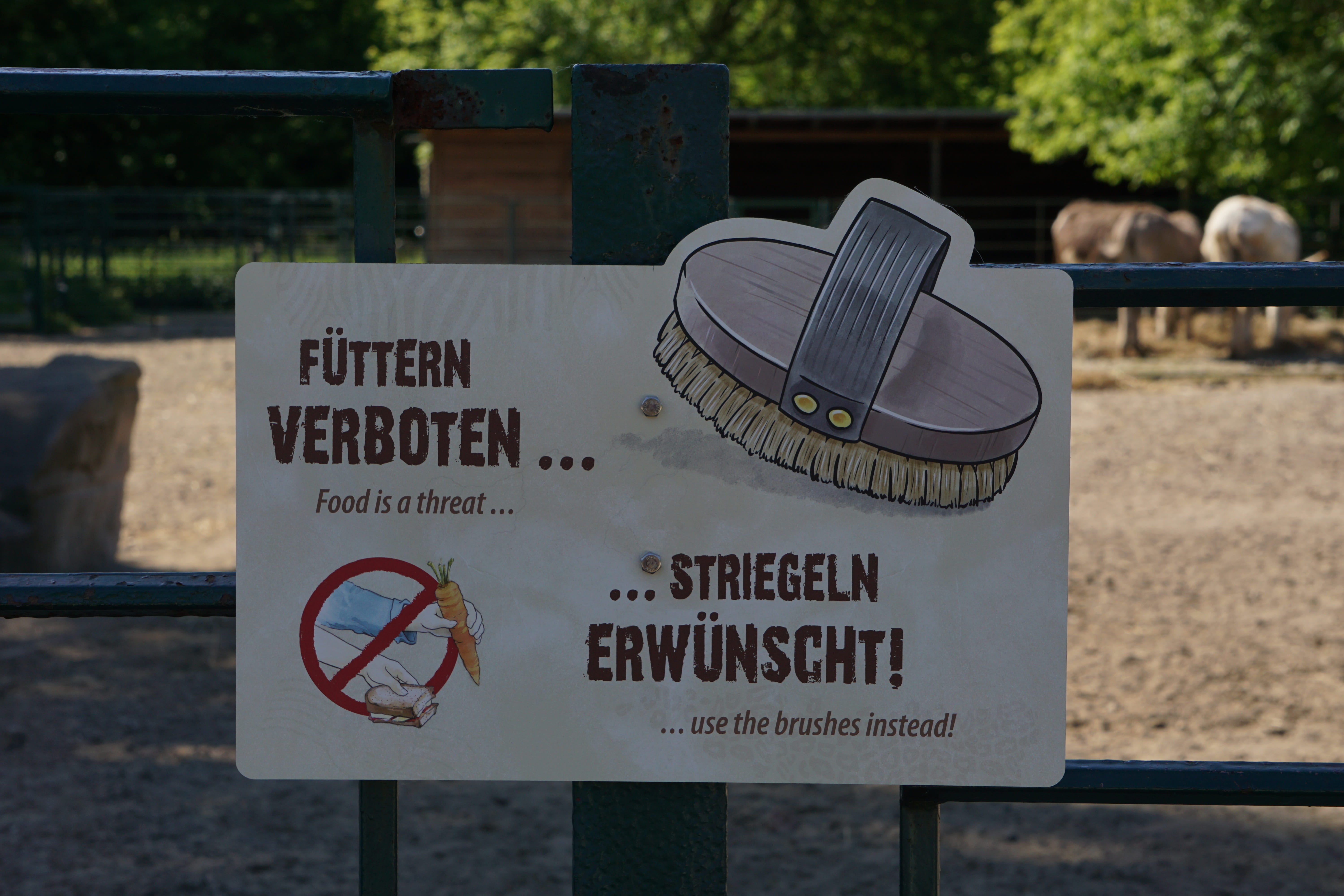 information sign, forbidden, government, shield, non-western script, message, sign, guidance, day, paper, 5K, marking, board, no people, western script, HD Wallpaper
