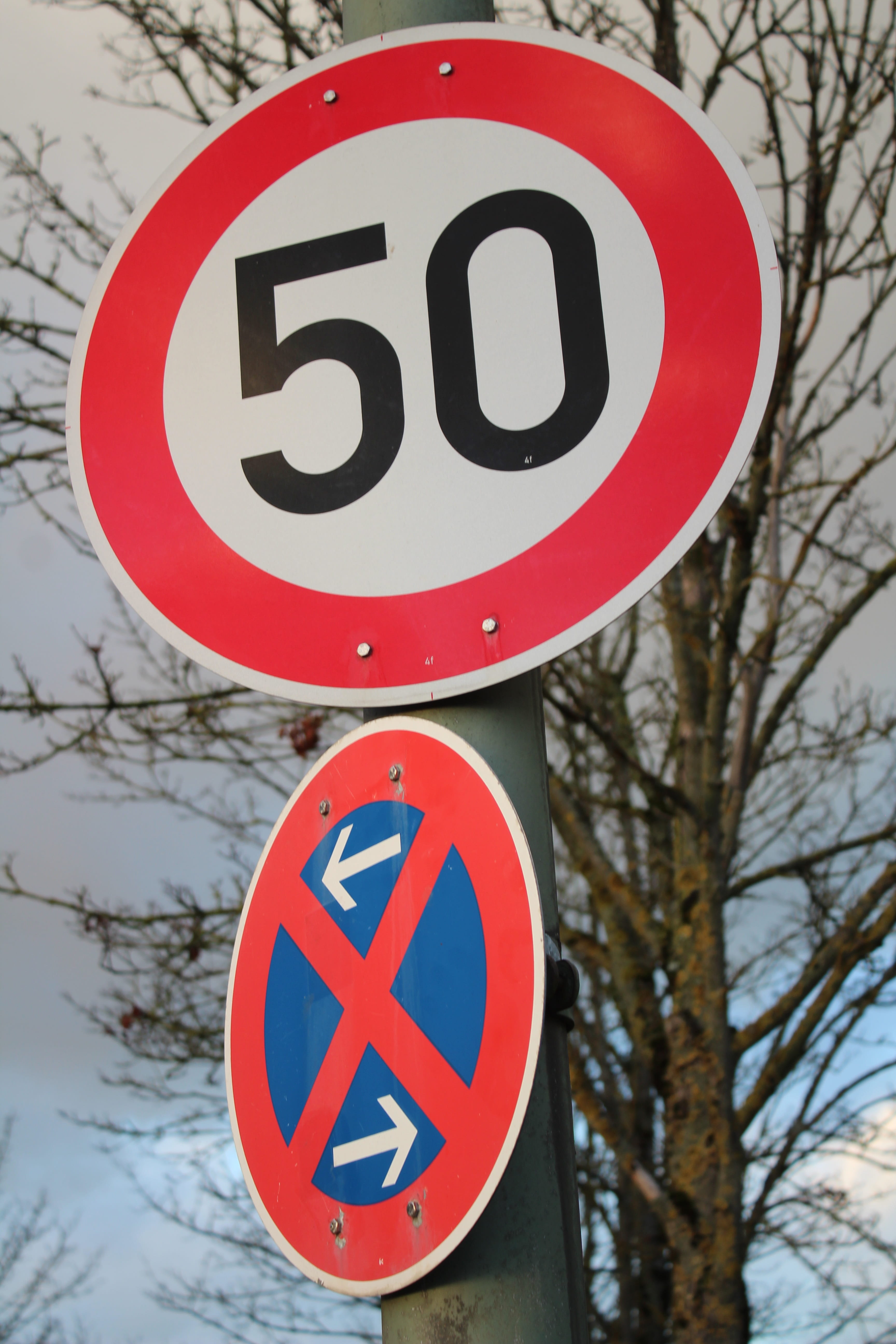 nature, communication, tree, no people, information, street sign, day, close-up, information sign, shield, speed, road sign, circle, sign, road, outdoors, Phone HD Wallpaper