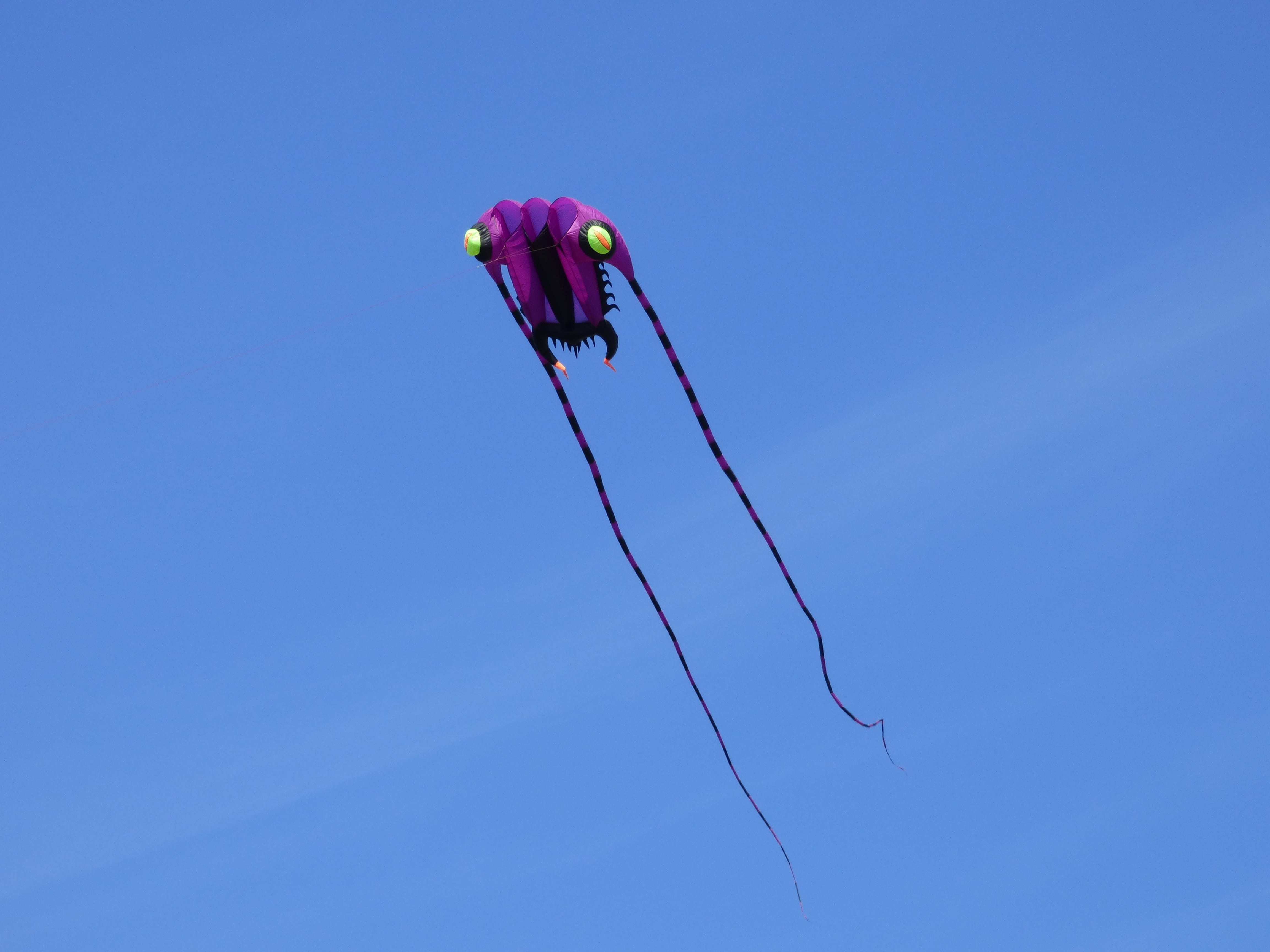 rise, outdoors, blue, beauty in nature, sky, Kite, day, multi colored, freedom, pink color, kites rise, nature, Wind Dragon, motion, kite - toy, 4K, one animal, HD Wallpaper