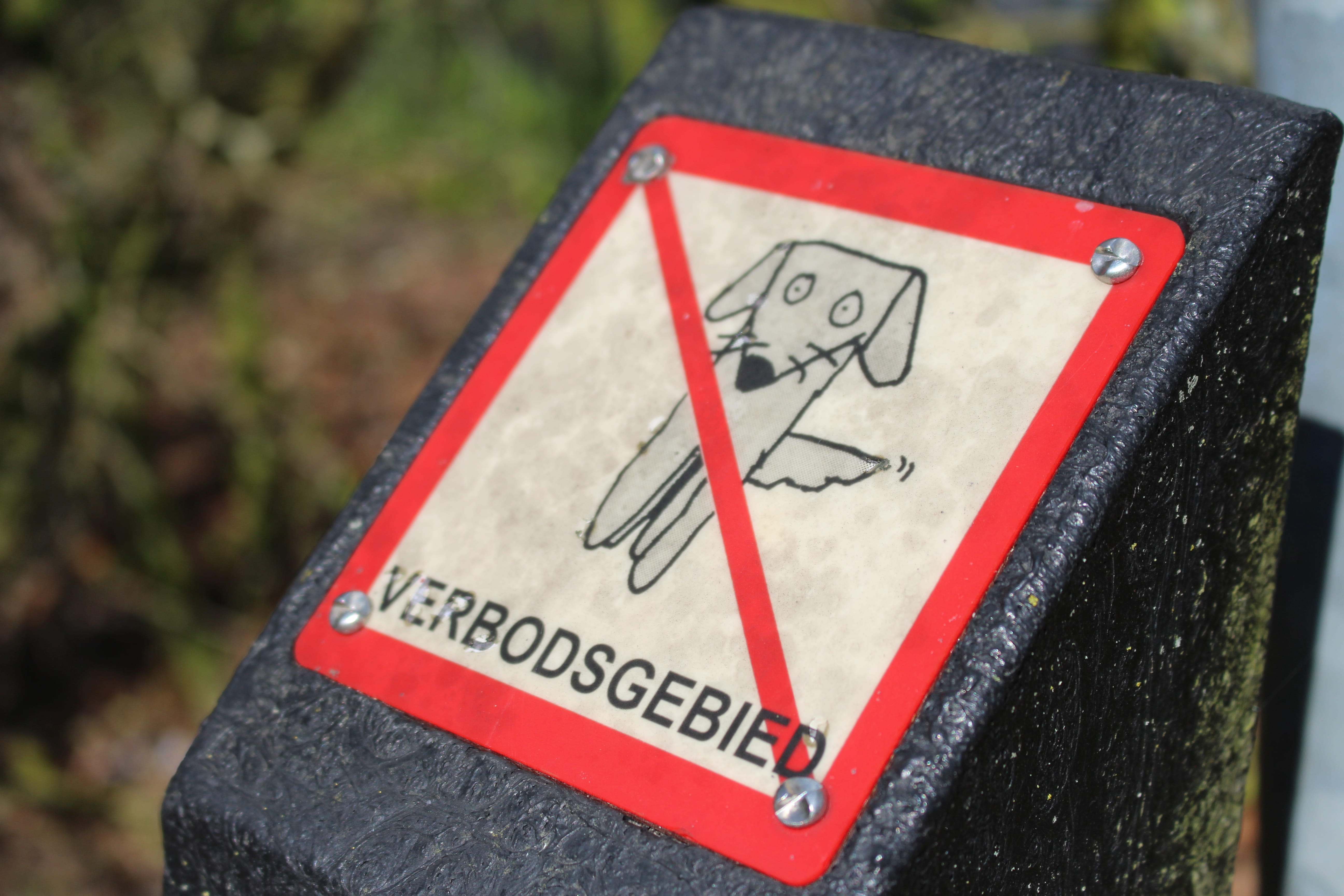 day, information, netherlands, sign, forbidden, guidance, close-up, dog, outdoors, western script, warning symbol, red, triangle shape, park, road, text, HD Wallpaper