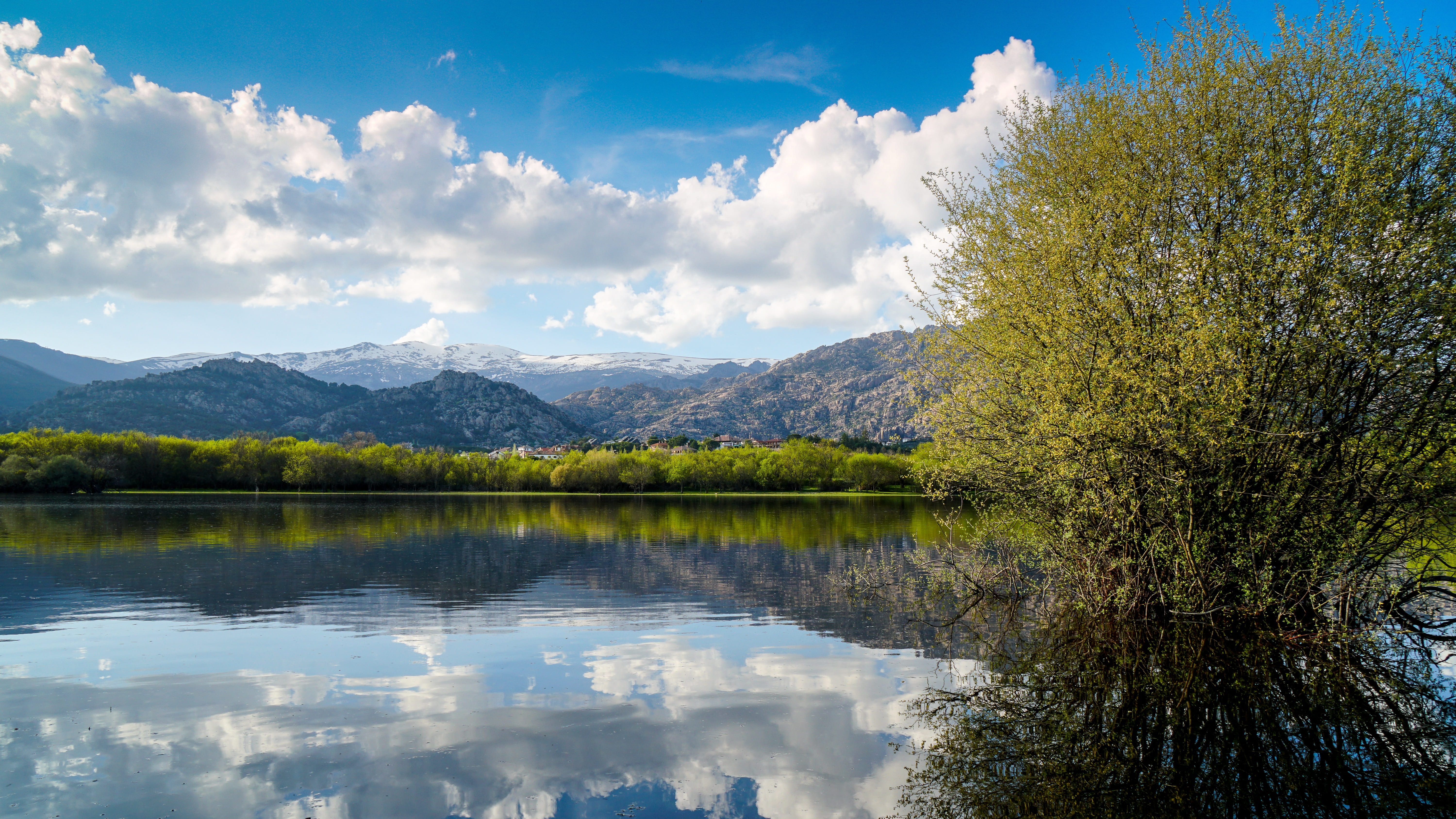 manzanares el real, landscape, no people, plant, water, outdoors, coniferous tree, scenics - nature, forest, lake, madrid, reflection lake, pine woodland, HD Wallpaper